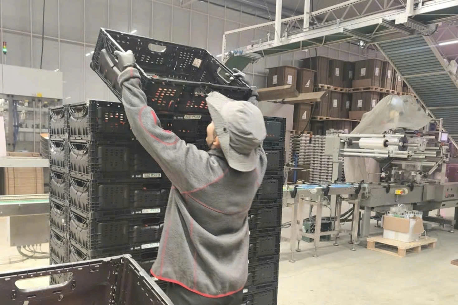 Tết xa qu&ecirc; vẫn ấm &aacute;p: Khi người xa xứ tự giữ lửa m&ugrave;a xu&acirc;n - Ảnh 11.