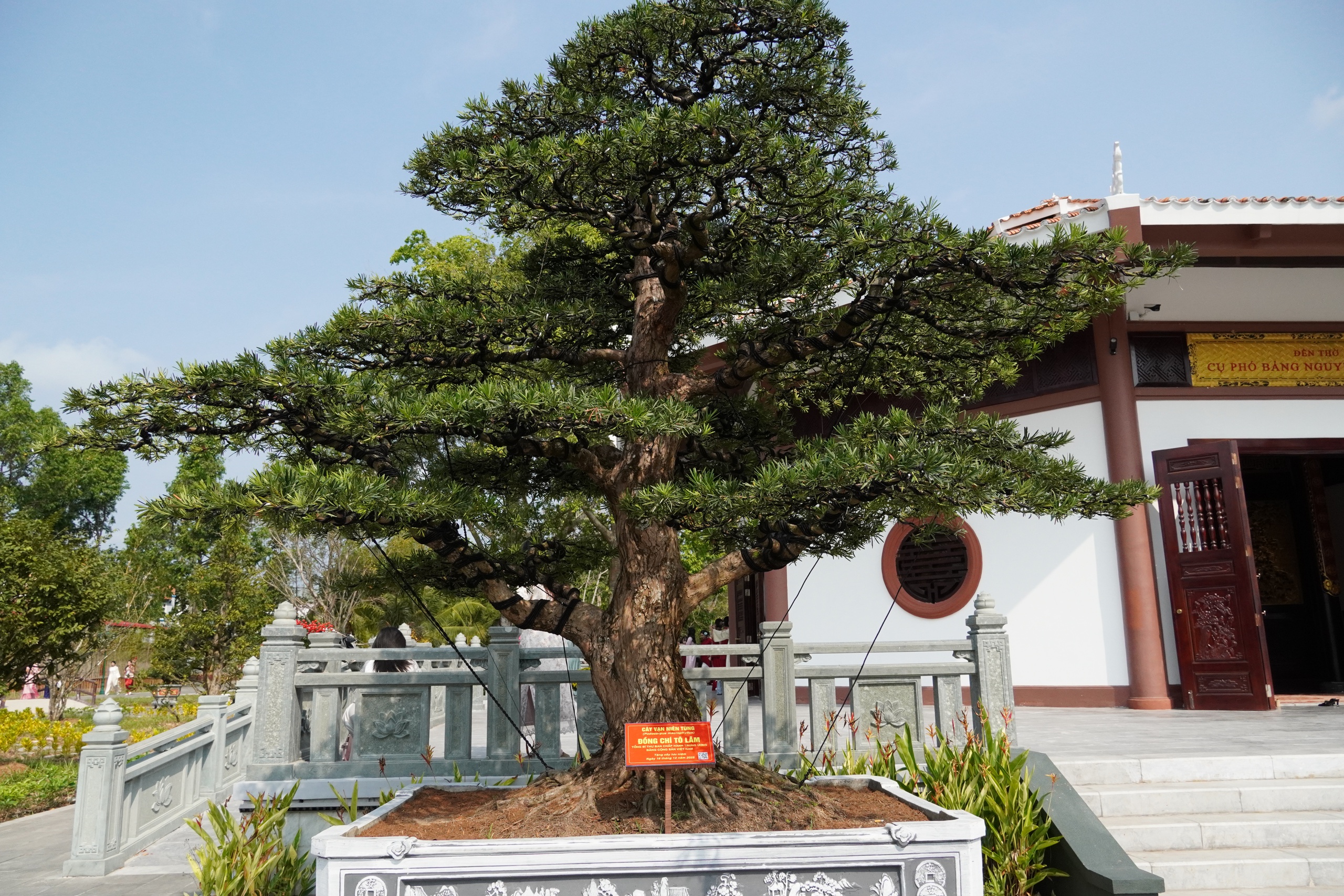 Những &ldquo;địa chỉ đỏ&rdquo; kh&ocirc;ng thể bỏ qua khi đến Đồng Th&aacute;p - Ảnh 13.