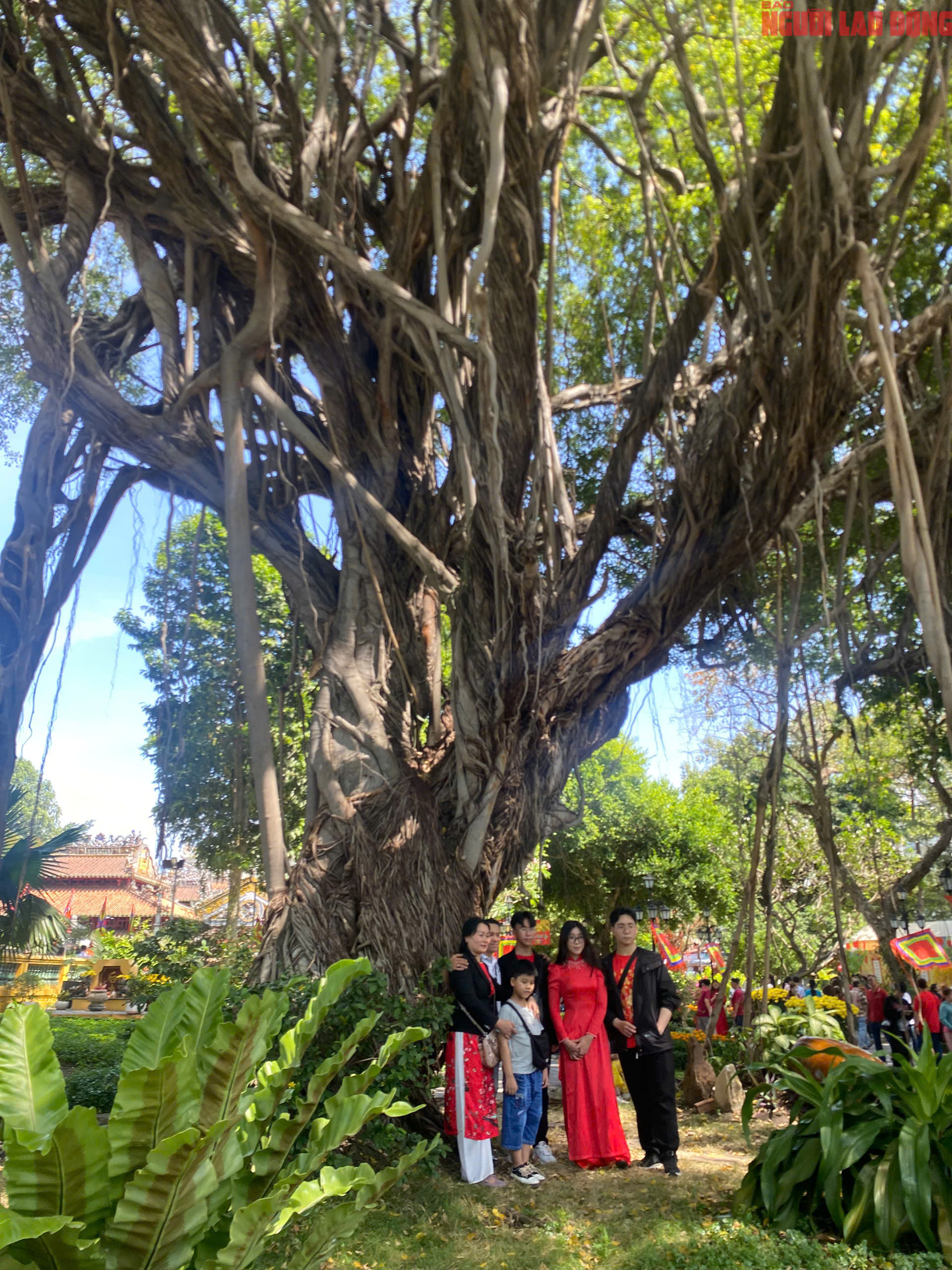 Xu&acirc;n an l&agrave;nh ở một linh miếu gần 200 năm tuổi - Ảnh 11.