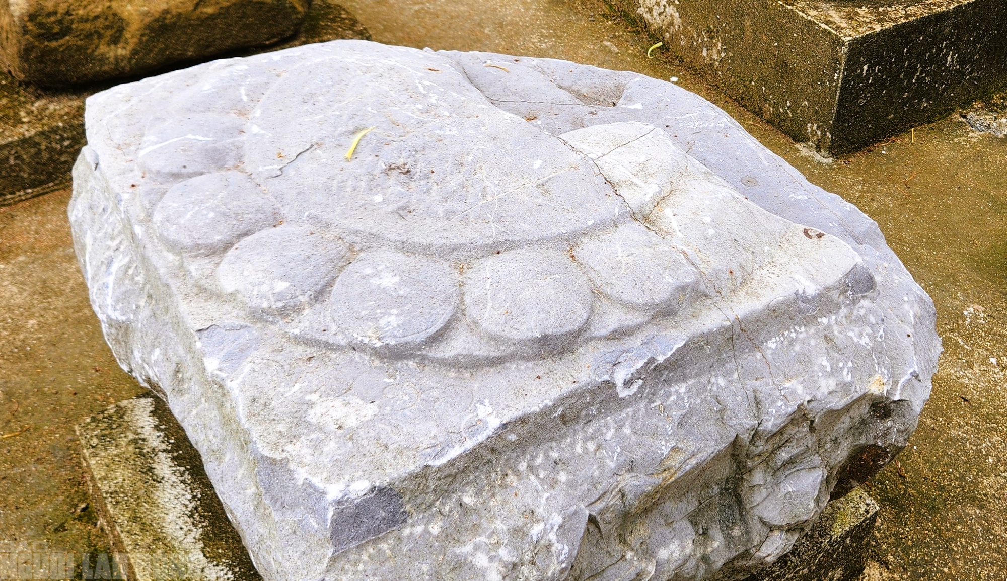 Kỳ b&iacute; những ch&acirc;n tảng đ&aacute; hơn 600 năm ở Th&agrave;nh nh&agrave; Hồ - Ảnh 5.