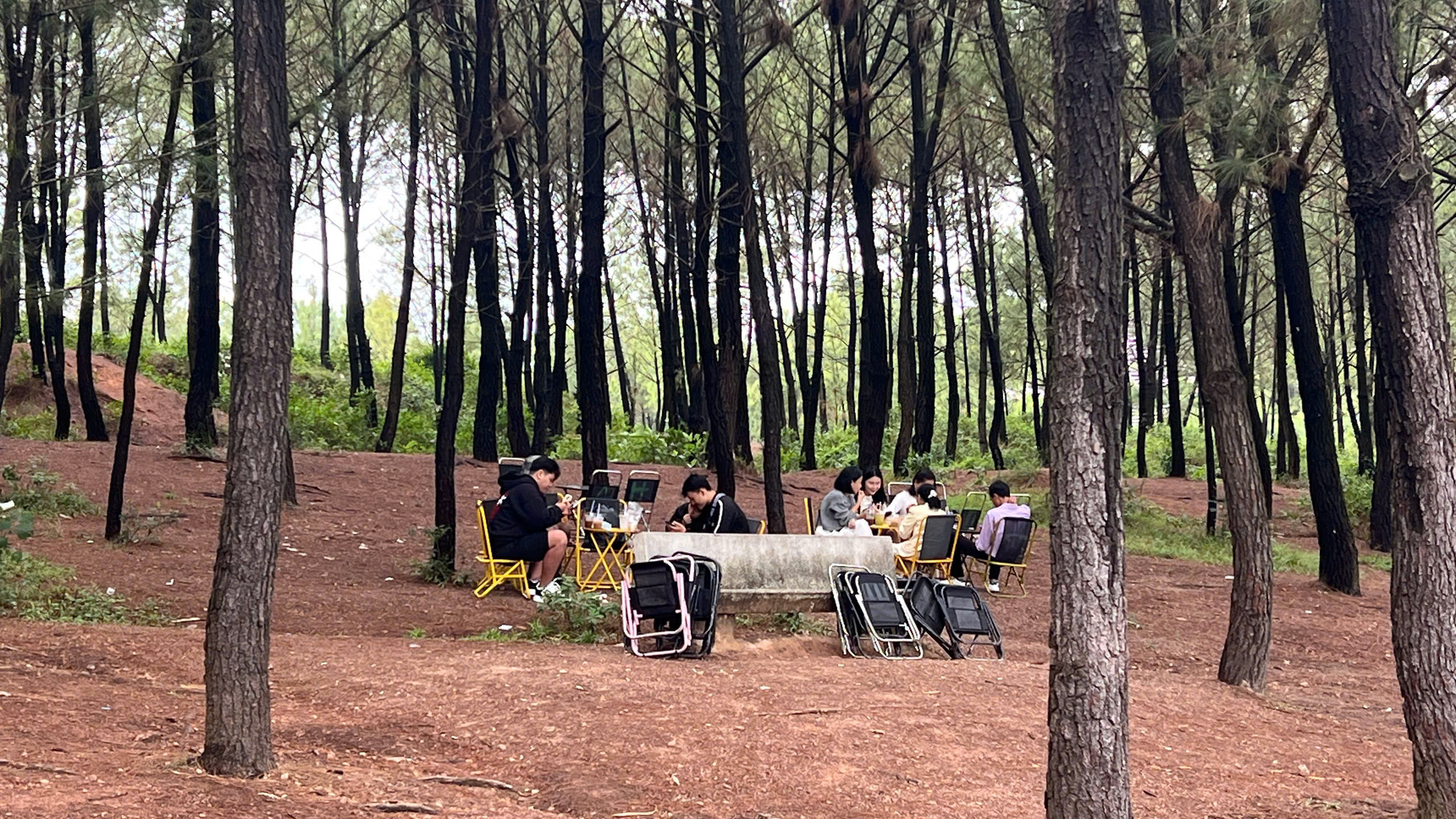 C&oacute; một ngọn đồi ở Huế khiến du kh&aacute;ch muốn đứng thật l&acirc;u, n&oacute;i &iacute;t lại v&agrave; "cảm" nhiều hơn - Ảnh 6.