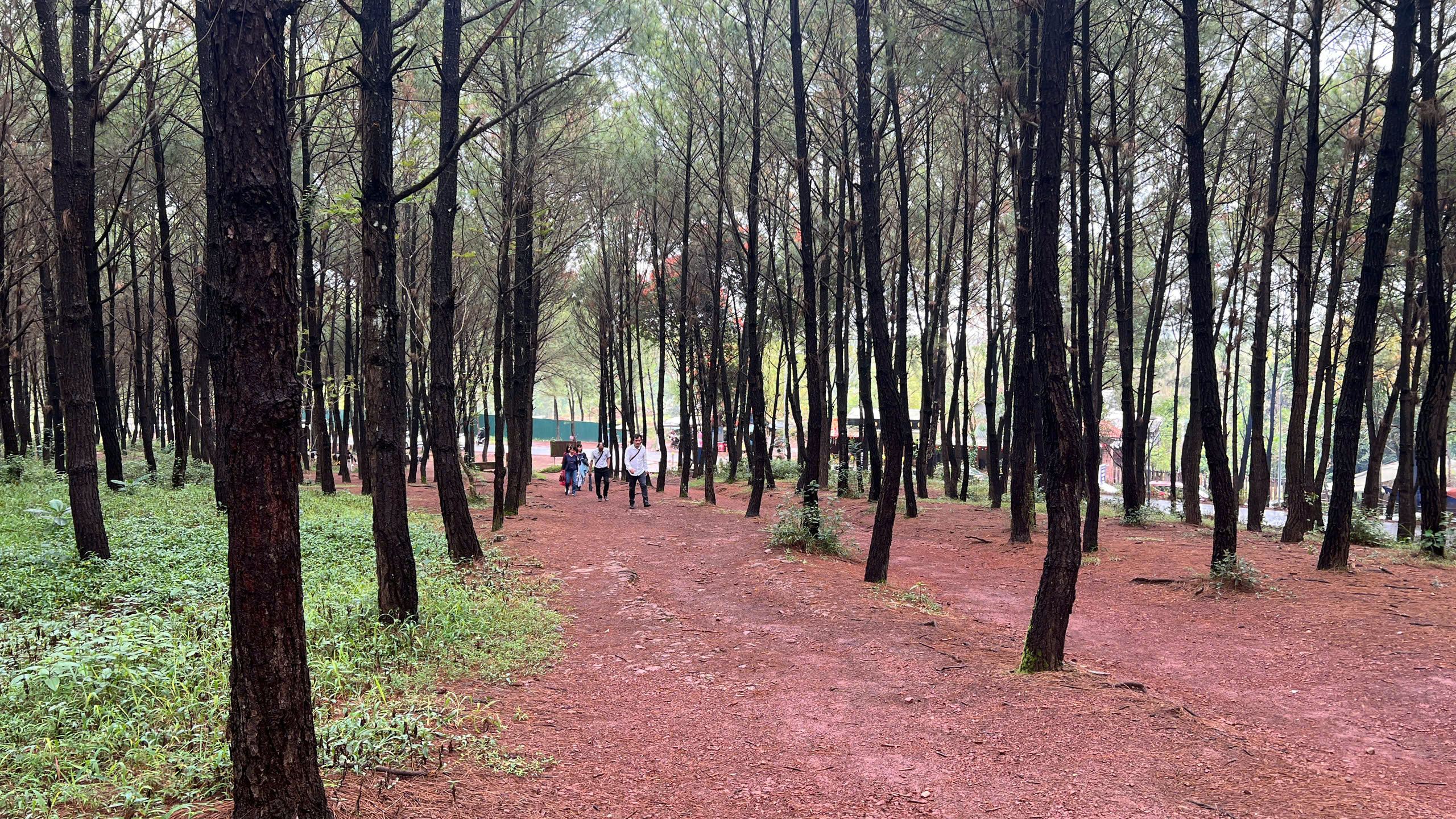 C&oacute; một ngọn đồi ở Huế khiến du kh&aacute;ch muốn đứng thật l&acirc;u, n&oacute;i &iacute;t lại v&agrave; "cảm" nhiều hơn - Ảnh 5.