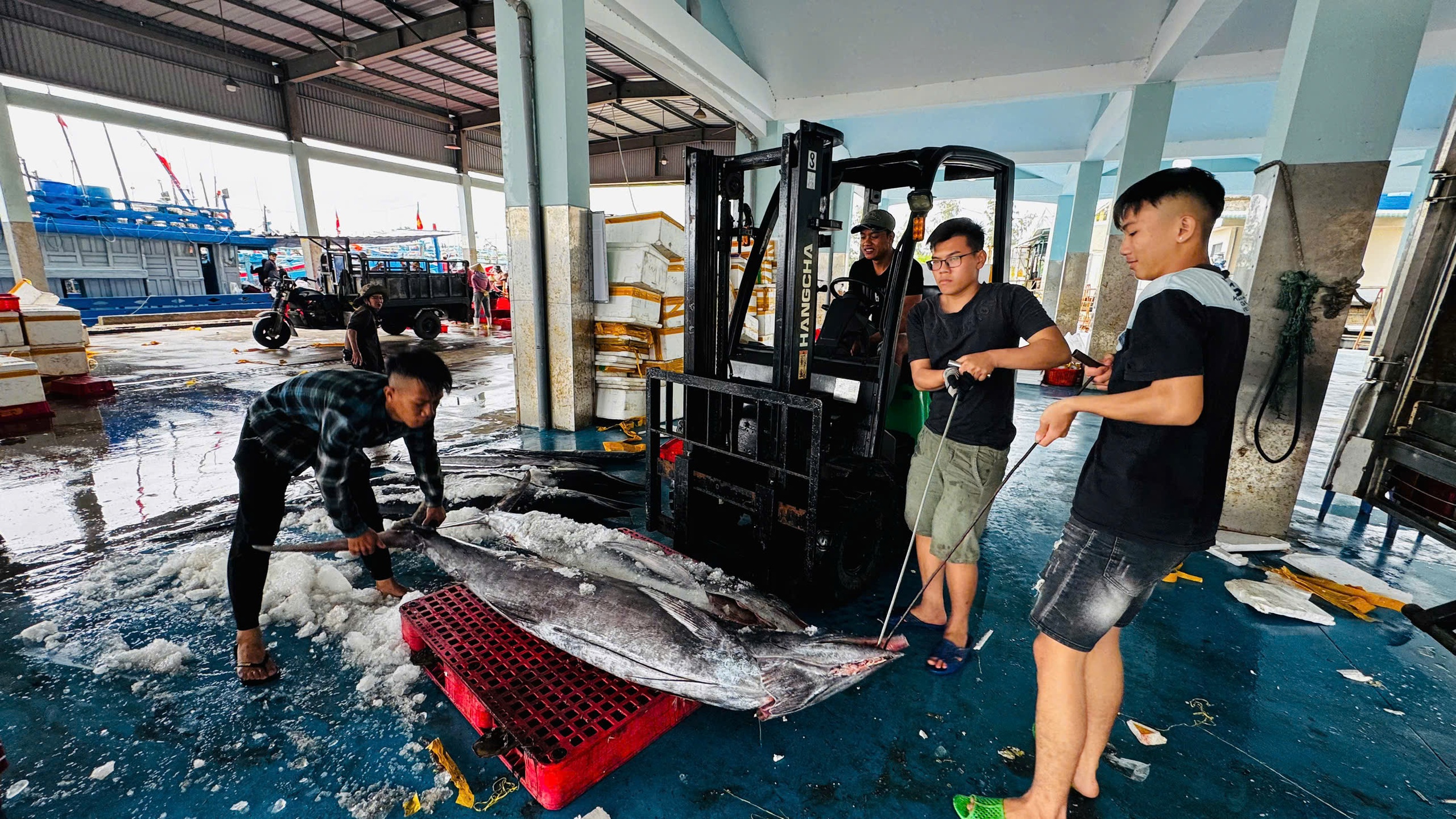 - Ảnh 4. - Ảnh 4.