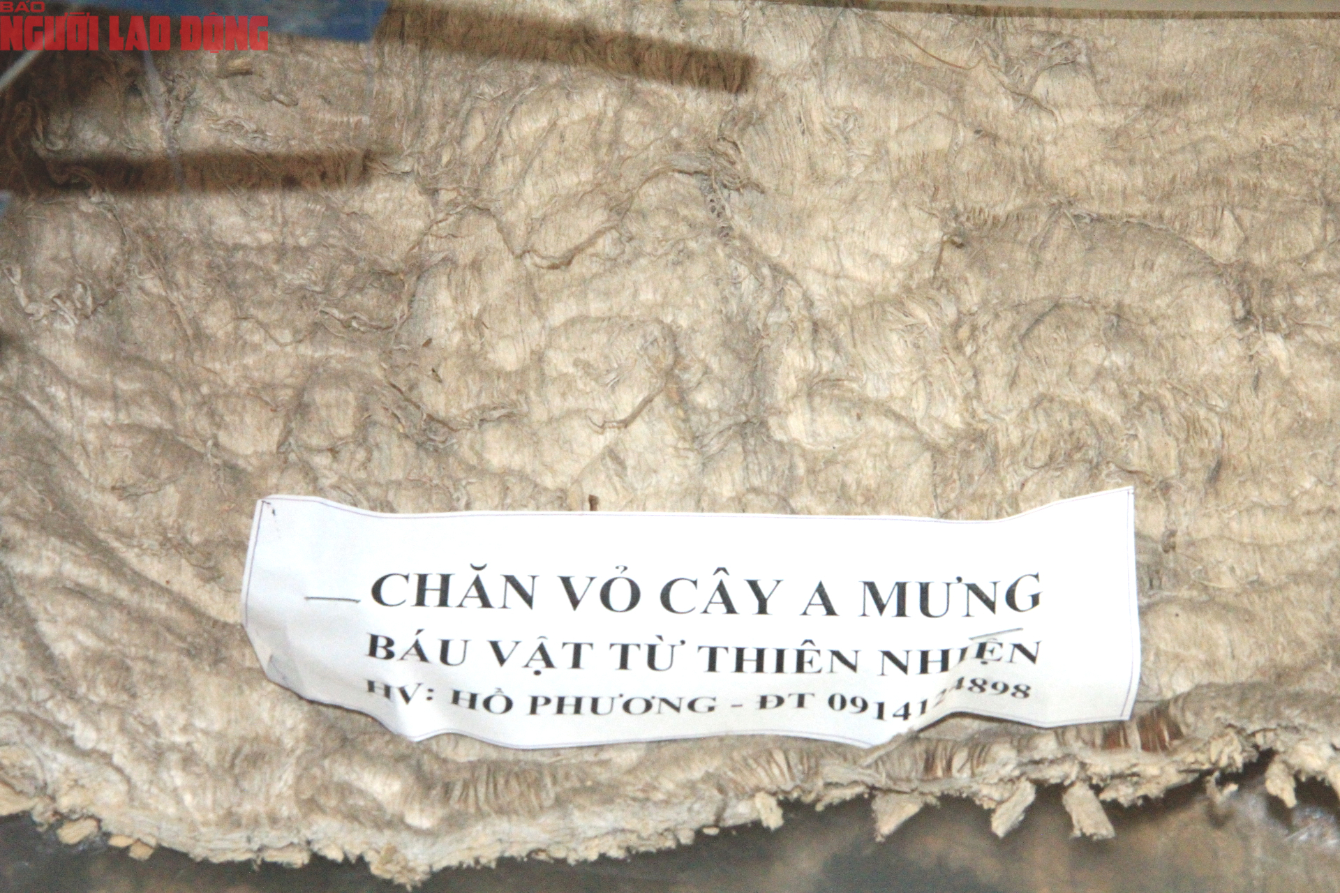 Trang phục cổ xưa bằng vỏ c&acirc;y A - mưng của nh&agrave; nghi&ecirc;n cứu Hồ Phương - Ảnh 9.