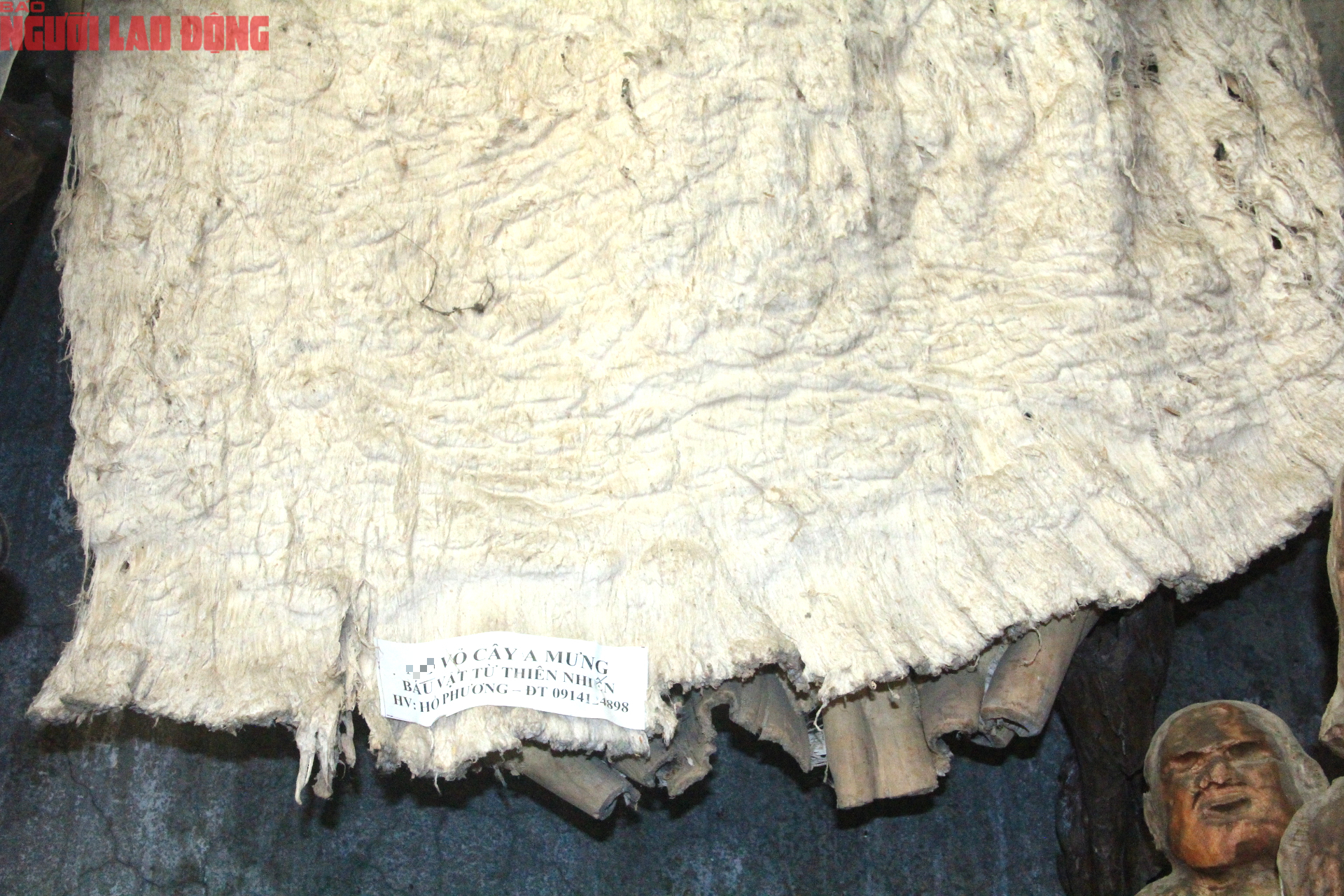 Trang phục cổ xưa bằng vỏ c&acirc;y A - mưng của nh&agrave; nghi&ecirc;n cứu Hồ Phương - Ảnh 10.