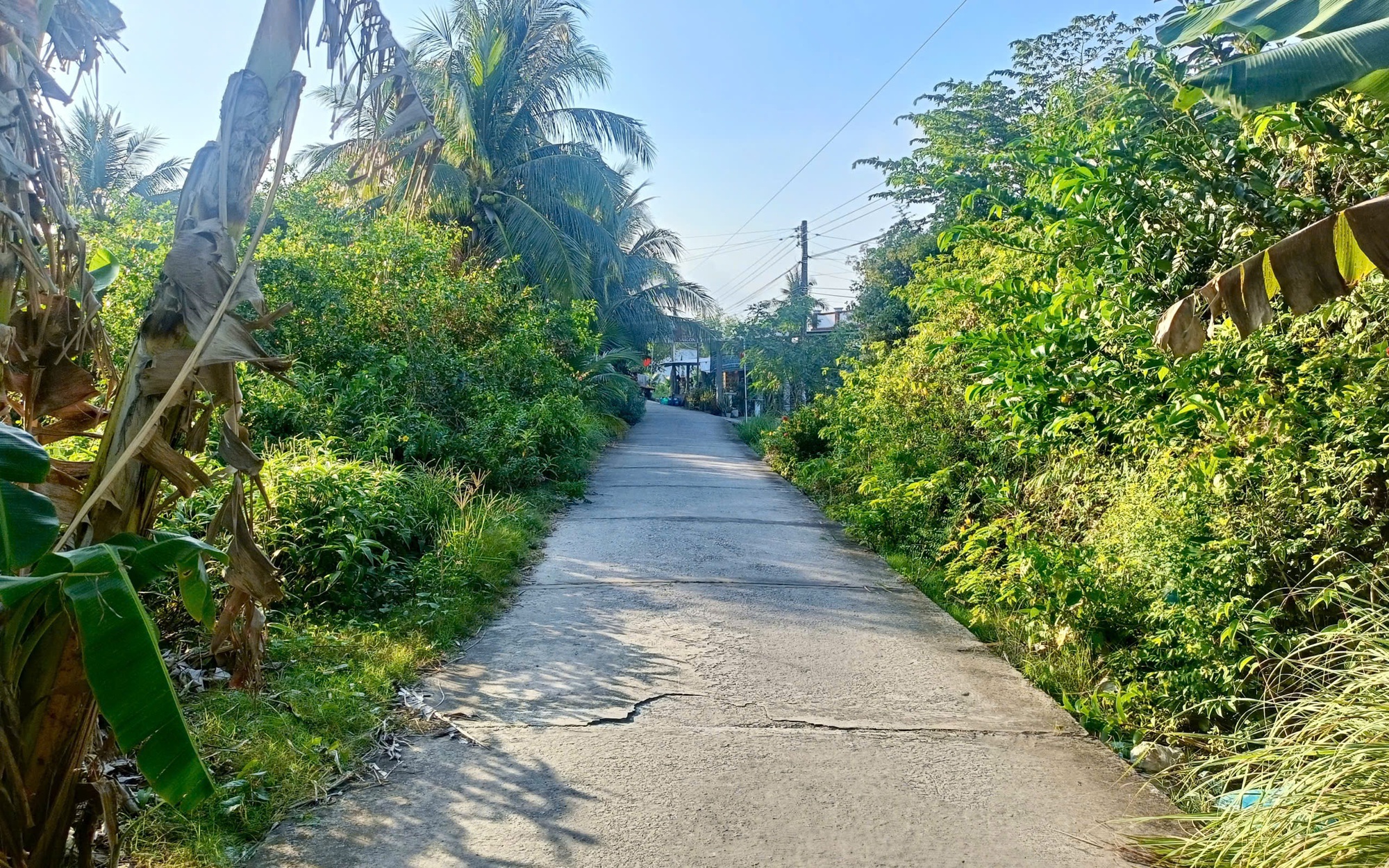 Nghi án con sát hại cha tại Đà Nẵng gây chấn động dư luận năm 2026 - Ảnh 2. Nghi án con sát hại cha tại Đà Nẵng gây chấn động dư luận năm 2026 - Ảnh 2.