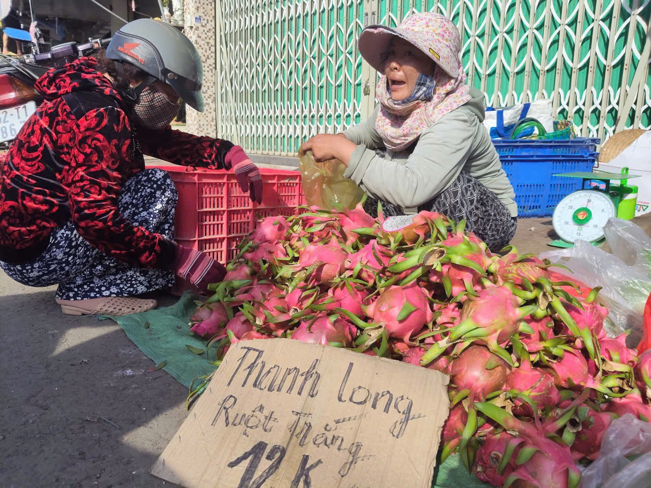 Gi&aacute; thanh long T&acirc;y Ninh Tết B&iacute;nh Ngọ 2026 v&agrave; những lo lắng của n&ocirc;ng d&acirc;n - Ảnh 11.