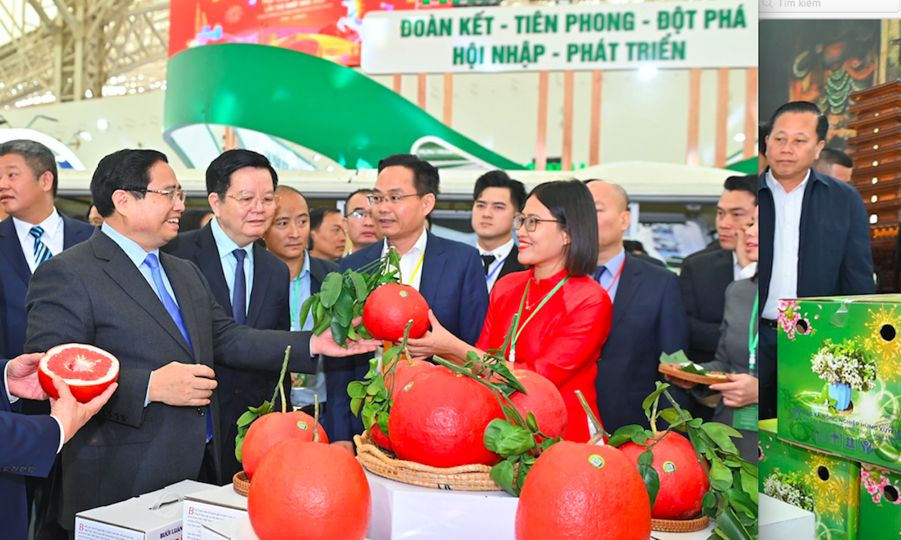 Bước chạy đà cho thị trường Tết - Ảnh 1.