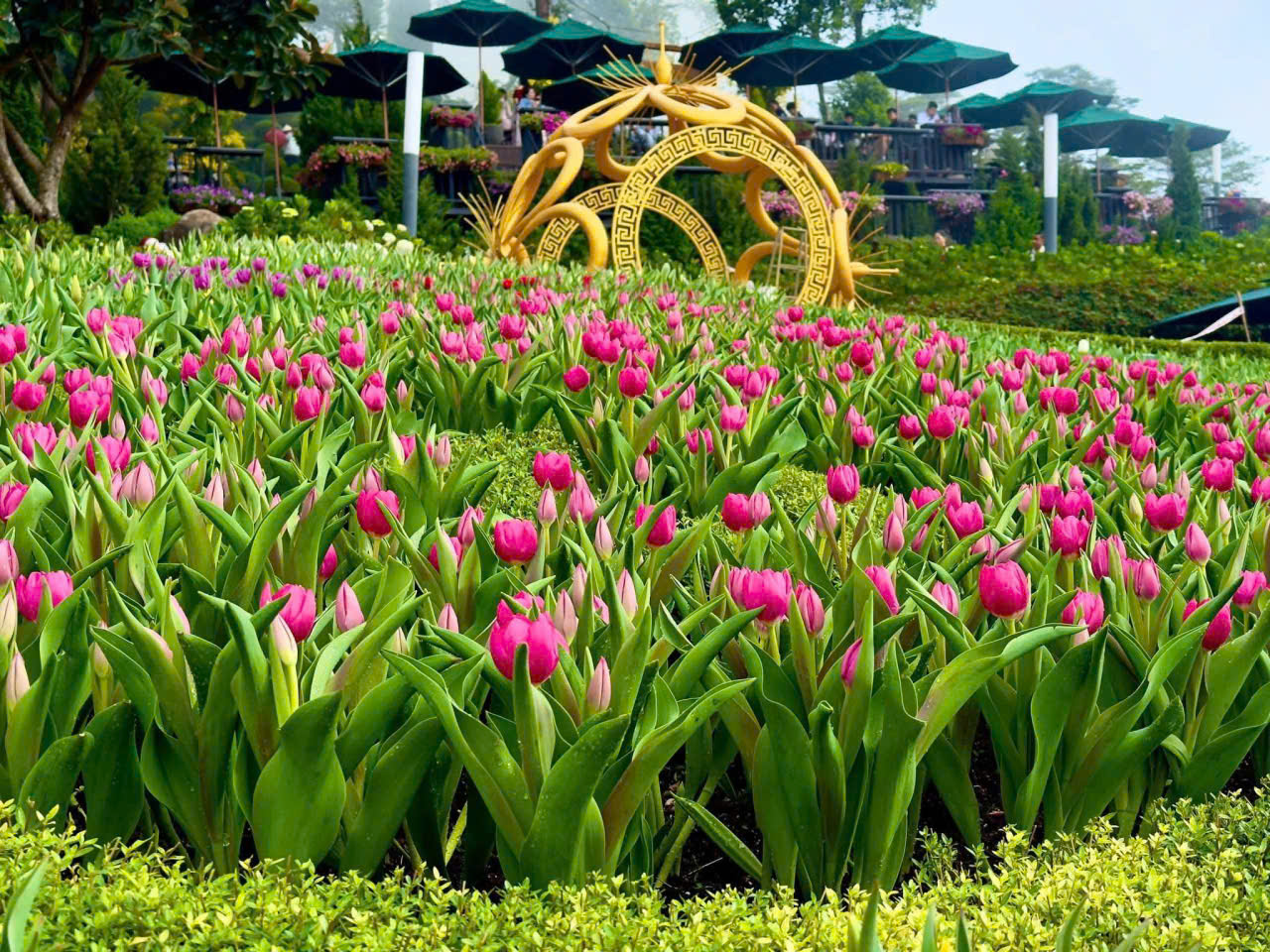  N&uacute;i B&agrave; Đen đ&oacute;n lượng kh&aacute;ch "khủng" trong 6 ng&agrave;y Tết - Ảnh 2.