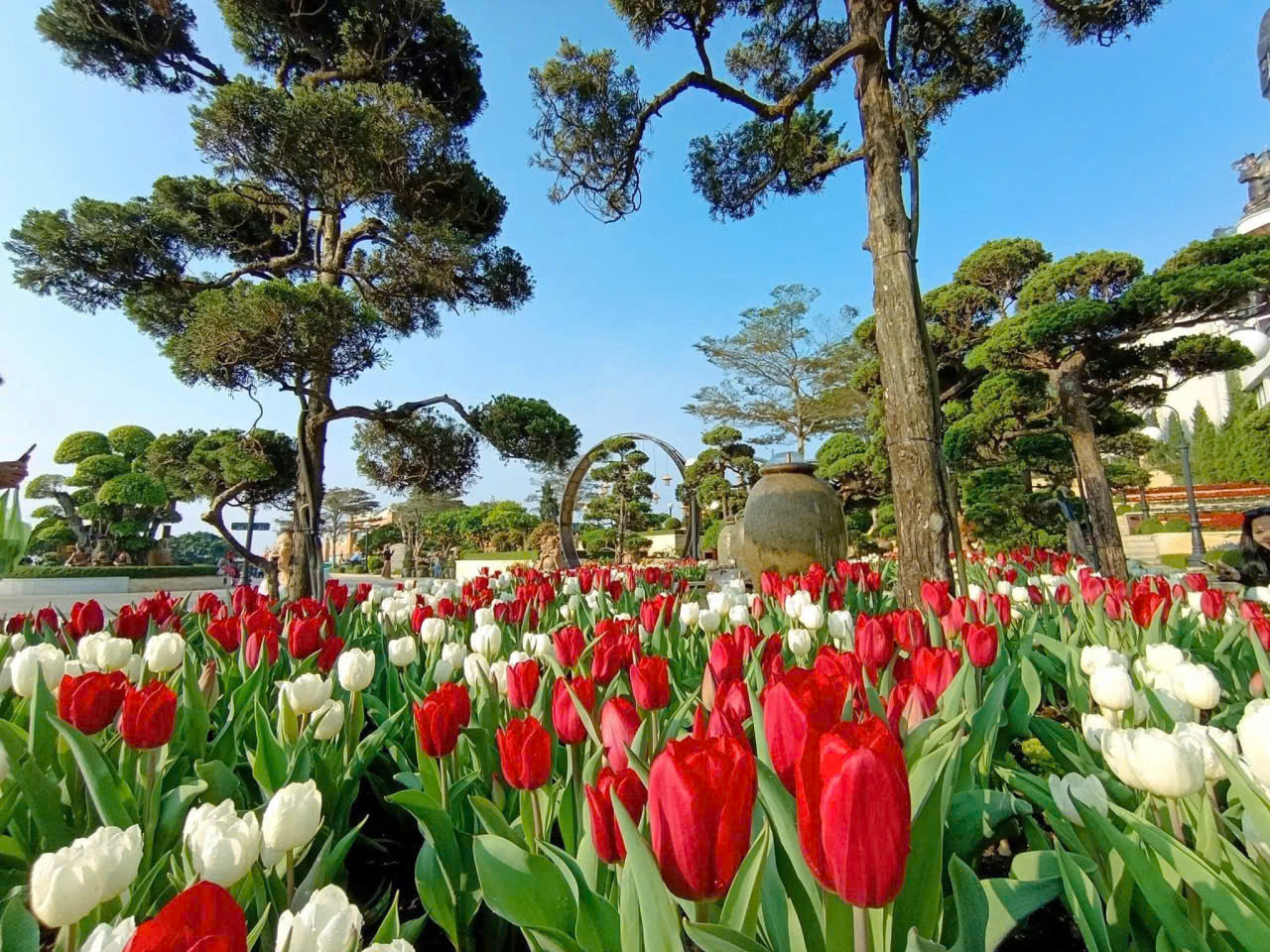  N&uacute;i B&agrave; Đen đ&oacute;n lượng kh&aacute;ch "khủng" trong 6 ng&agrave;y Tết - Ảnh 4.