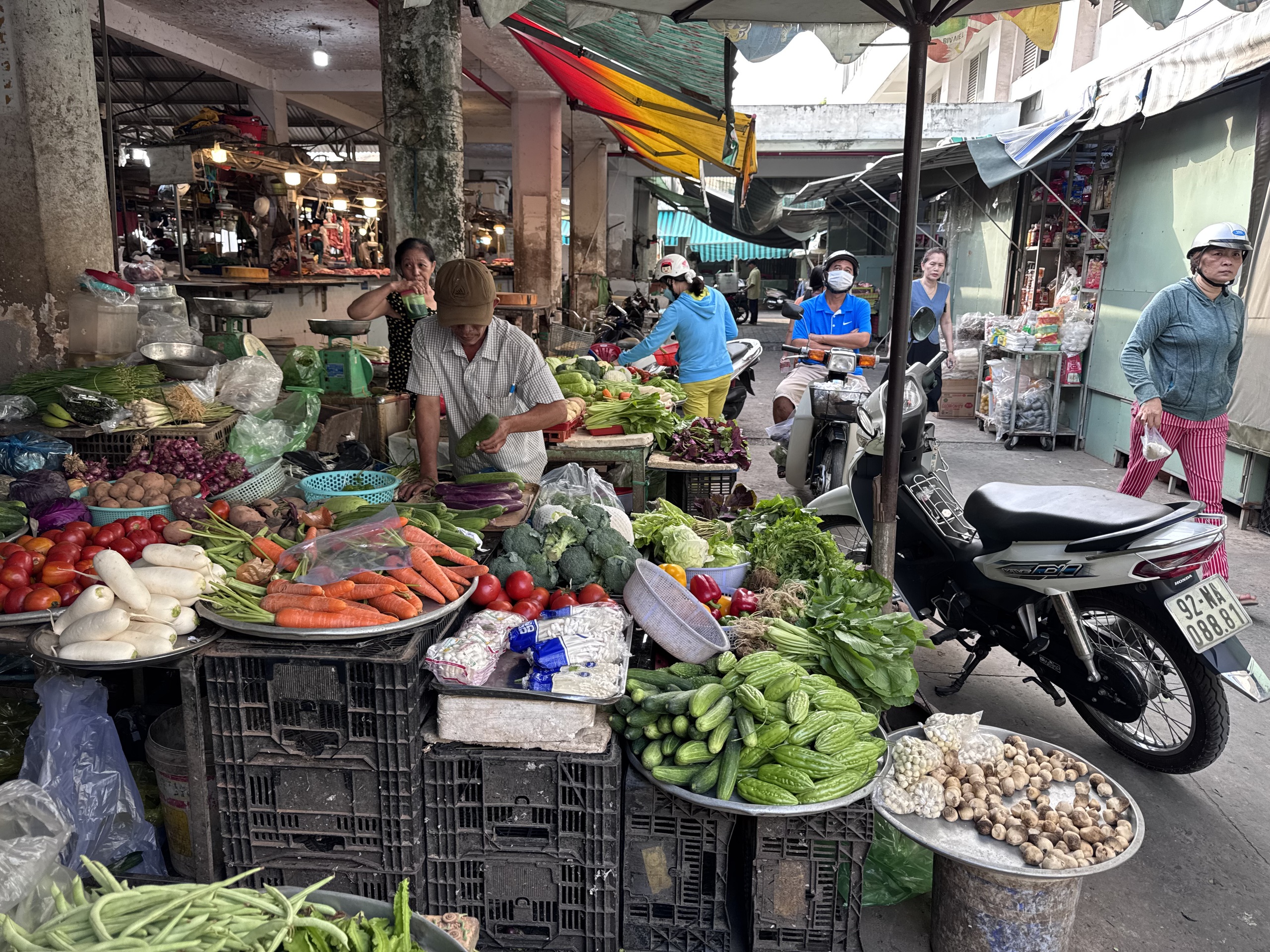 Giá hải sản cao sau Tết tại TP HCM: Tình hình thị trường 2026 - Ảnh 2. Giá hải sản cao sau Tết tại TP HCM: Tình hình thị trường 2026 - Ảnh 2.