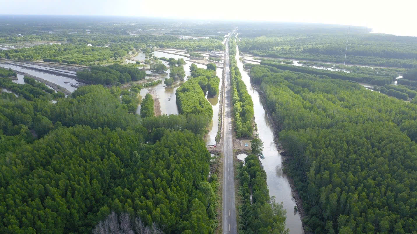 C&agrave; Mau cực tăng trưởng mới của v&ugrave;ng ĐBSCL - Ảnh 2.