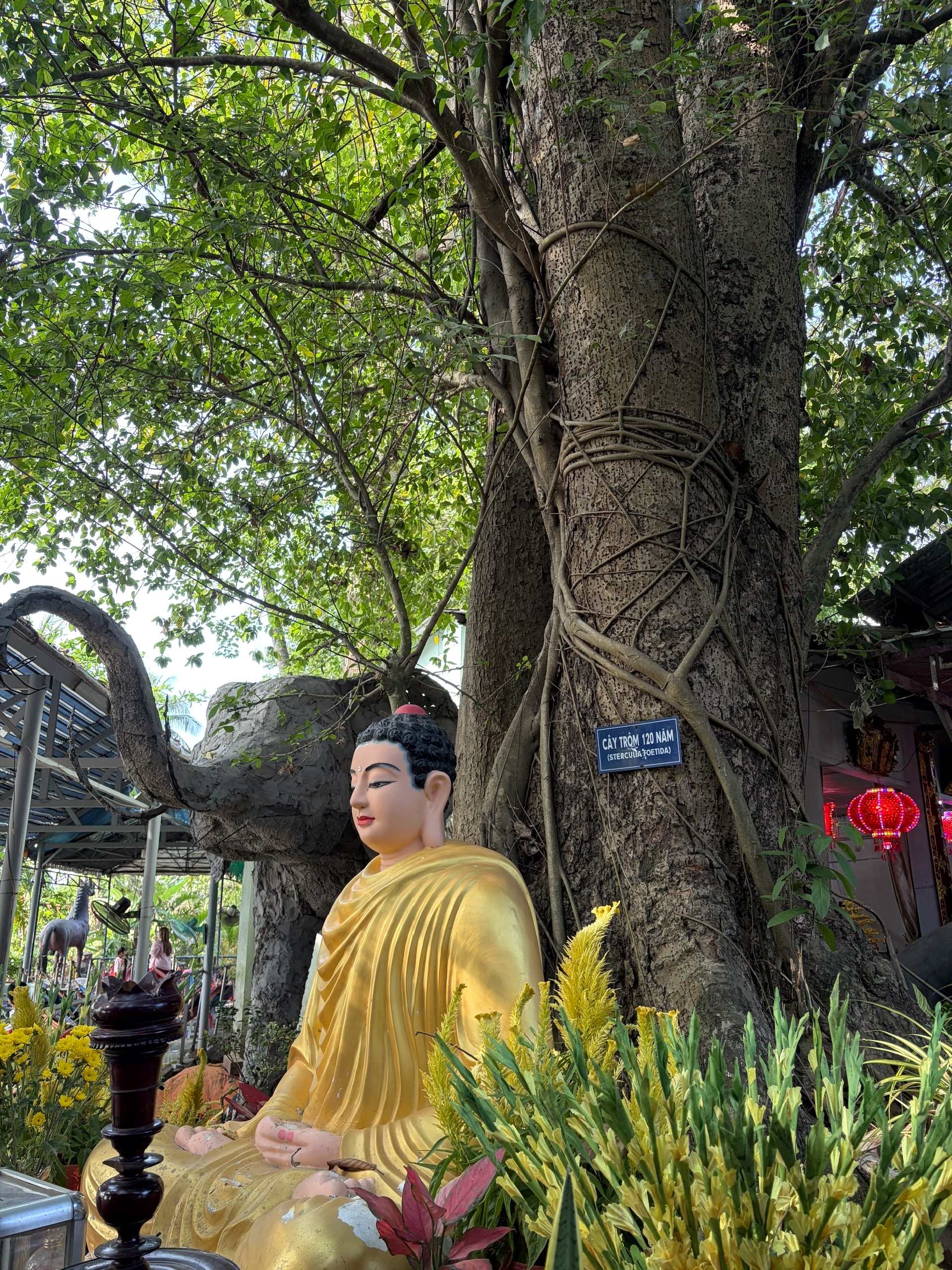 Đầu năm, vãn cảnh chùa trên cù lao sông Đồng Nai - Ảnh 18.