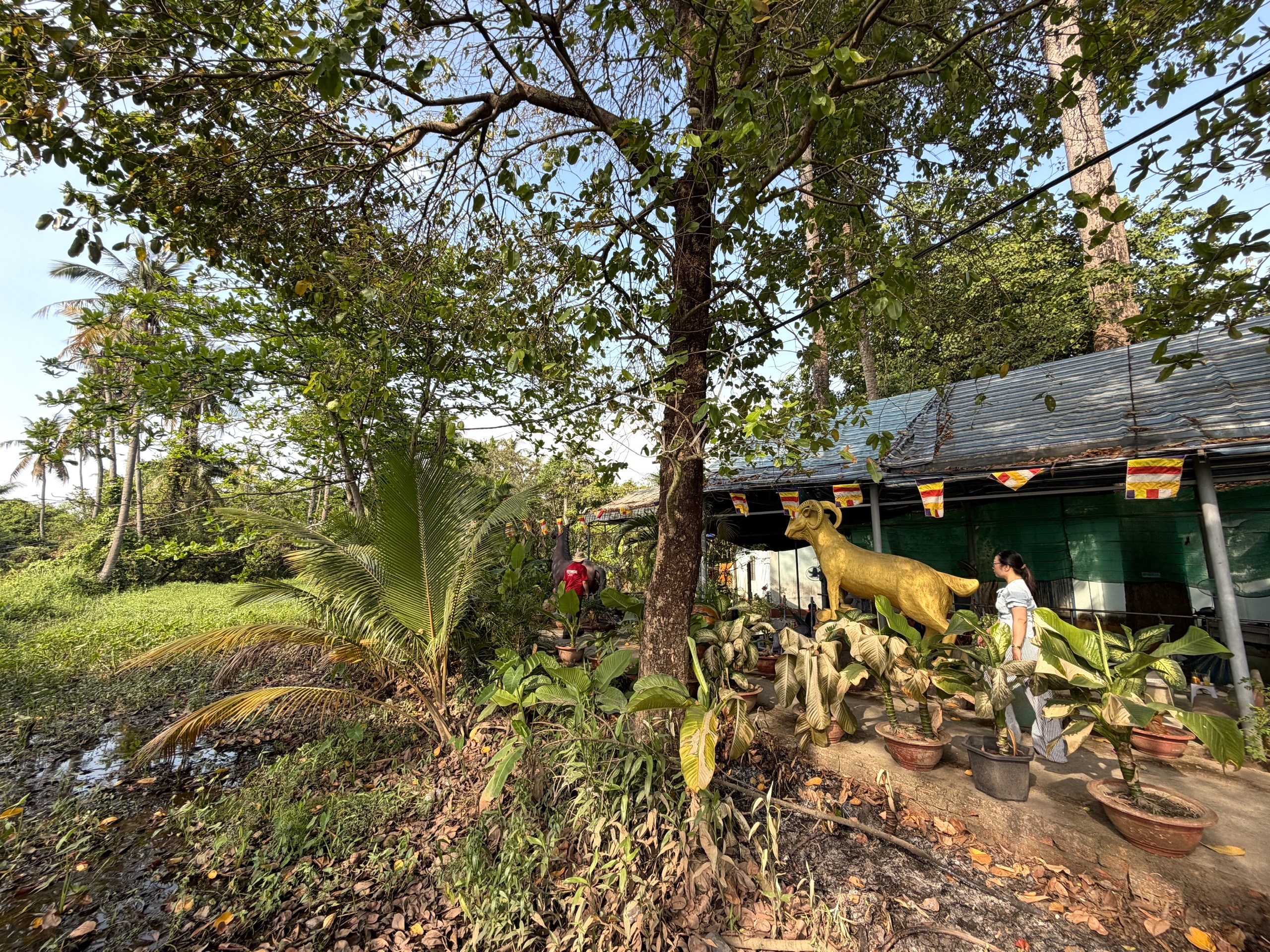 Đầu năm, vãn cảnh chùa trên cù lao sông Đồng Nai - Ảnh 15.