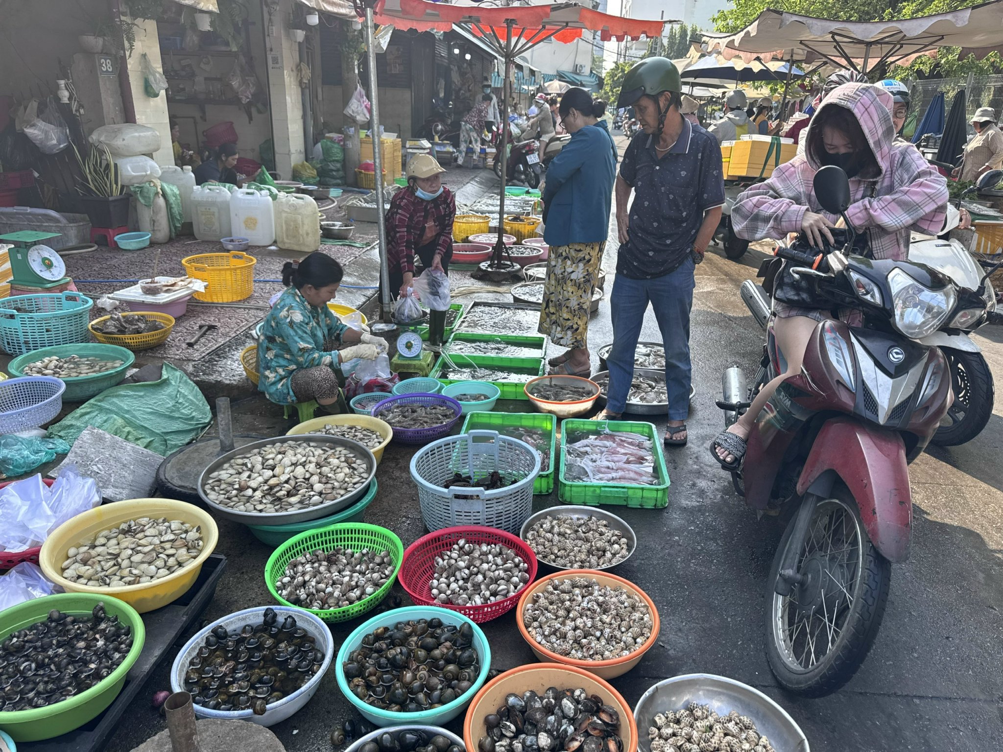 Giá hải sản cao sau Tết tại TP HCM: Tình hình thị trường 2026 - Ảnh 4. Giá hải sản cao sau Tết tại TP HCM: Tình hình thị trường 2026 - Ảnh 4.