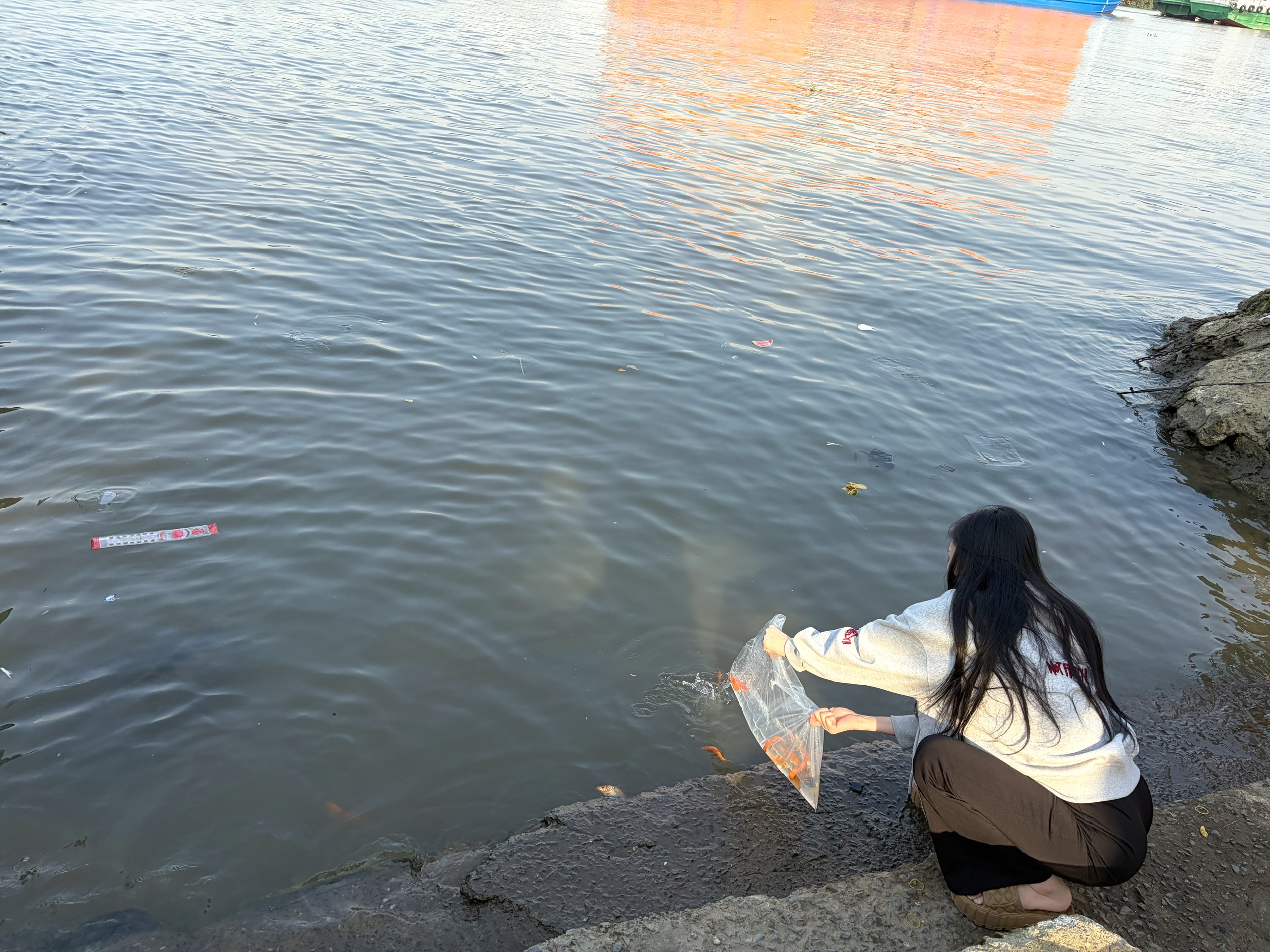 Đầu năm, vãn cảnh chùa trên cù lao sông Đồng Nai - Ảnh 19.