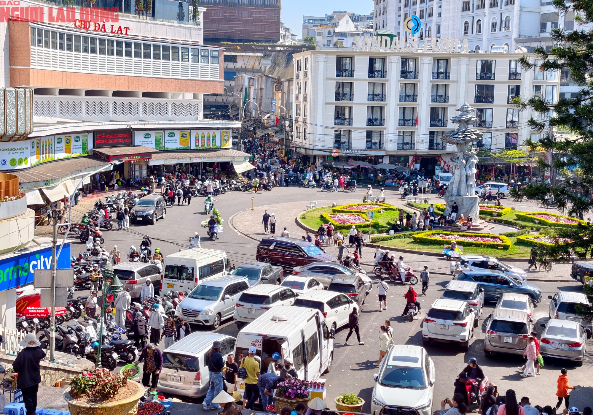 M&ugrave;ng 6 Tết, Đ&agrave; Lạt vẫn rộn r&agrave;ng kh&aacute;ch du xu&acirc;n - Ảnh 6.