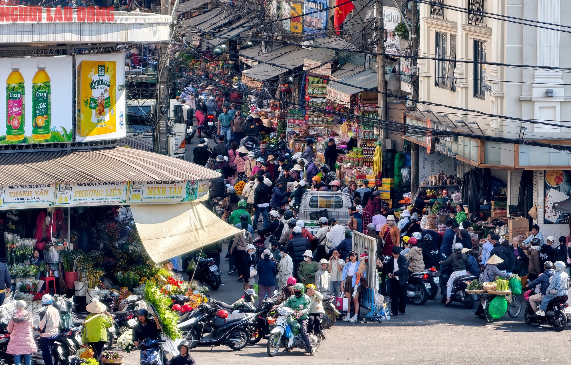 M&ugrave;ng 6 Tết, Đ&agrave; Lạt vẫn rộn r&agrave;ng kh&aacute;ch du xu&acirc;n - Ảnh 7.