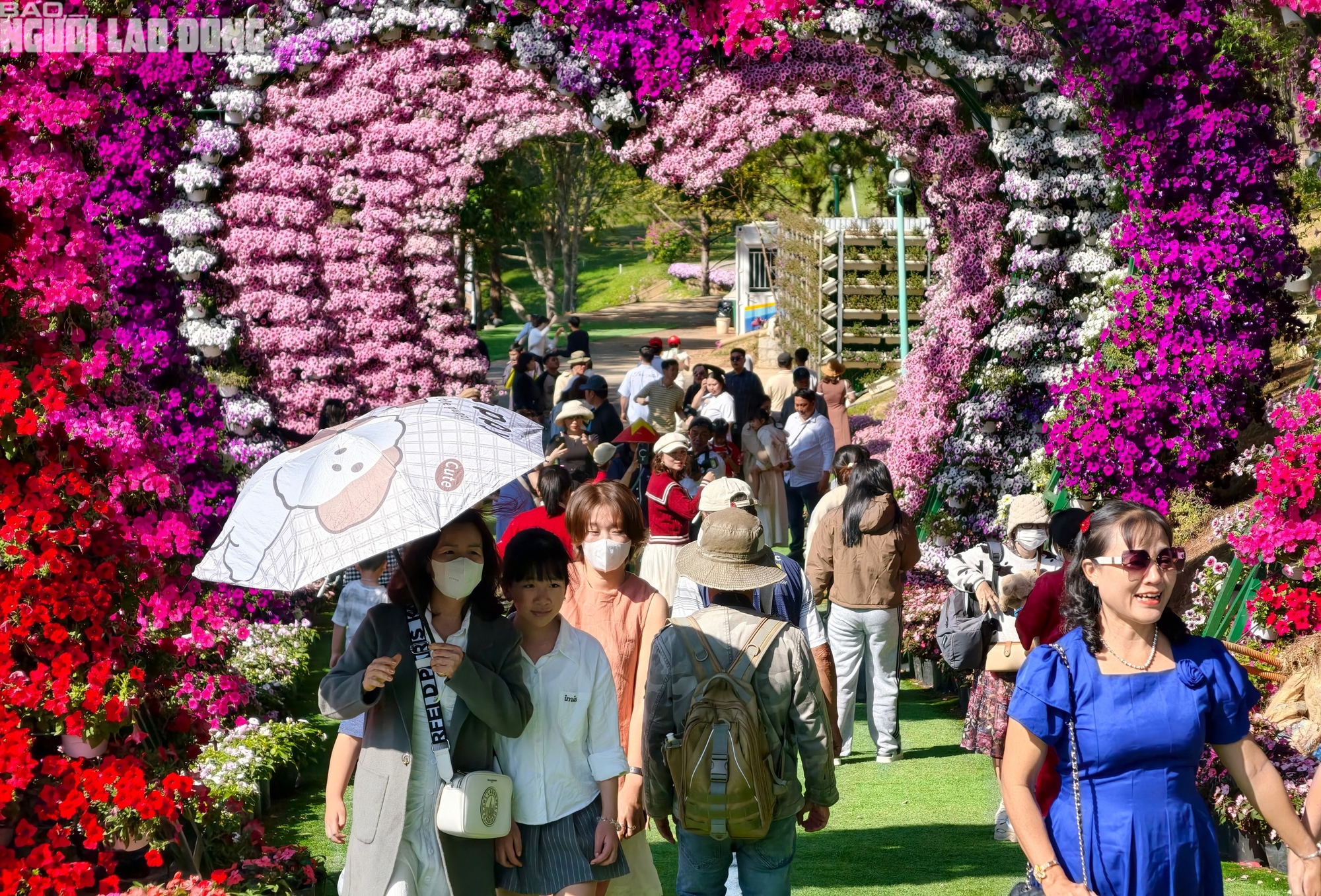 M&ugrave;ng 6 Tết, Đ&agrave; Lạt vẫn rộn r&agrave;ng kh&aacute;ch du xu&acirc;n - Ảnh 10.