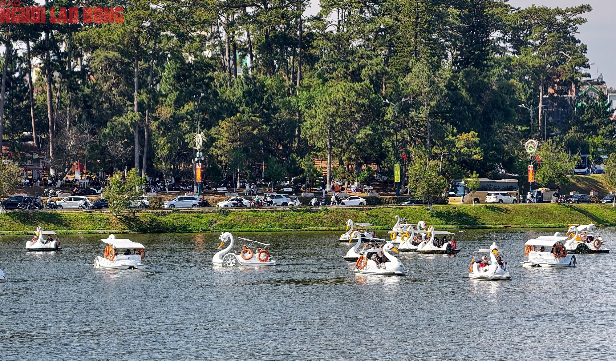M&ugrave;ng 6 Tết, Đ&agrave; Lạt vẫn rộn r&agrave;ng kh&aacute;ch du xu&acirc;n - Ảnh 13.