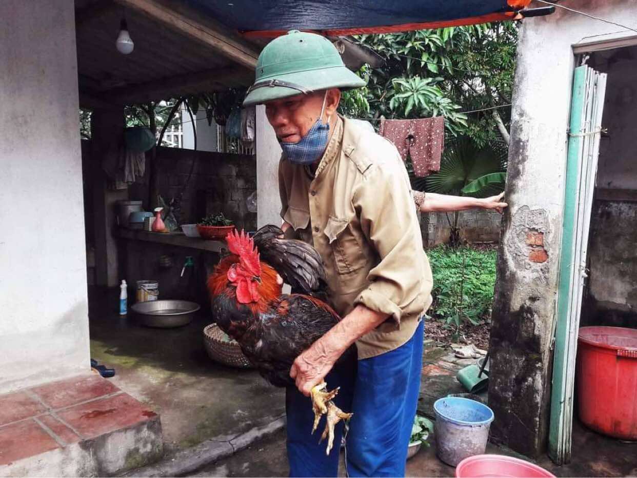 Cuộc thi "Tết xanh": Từ hương l&aacute; dong xưa đến kh&aacute;t vọng Tết Net Zero thời nay - Ảnh 3.