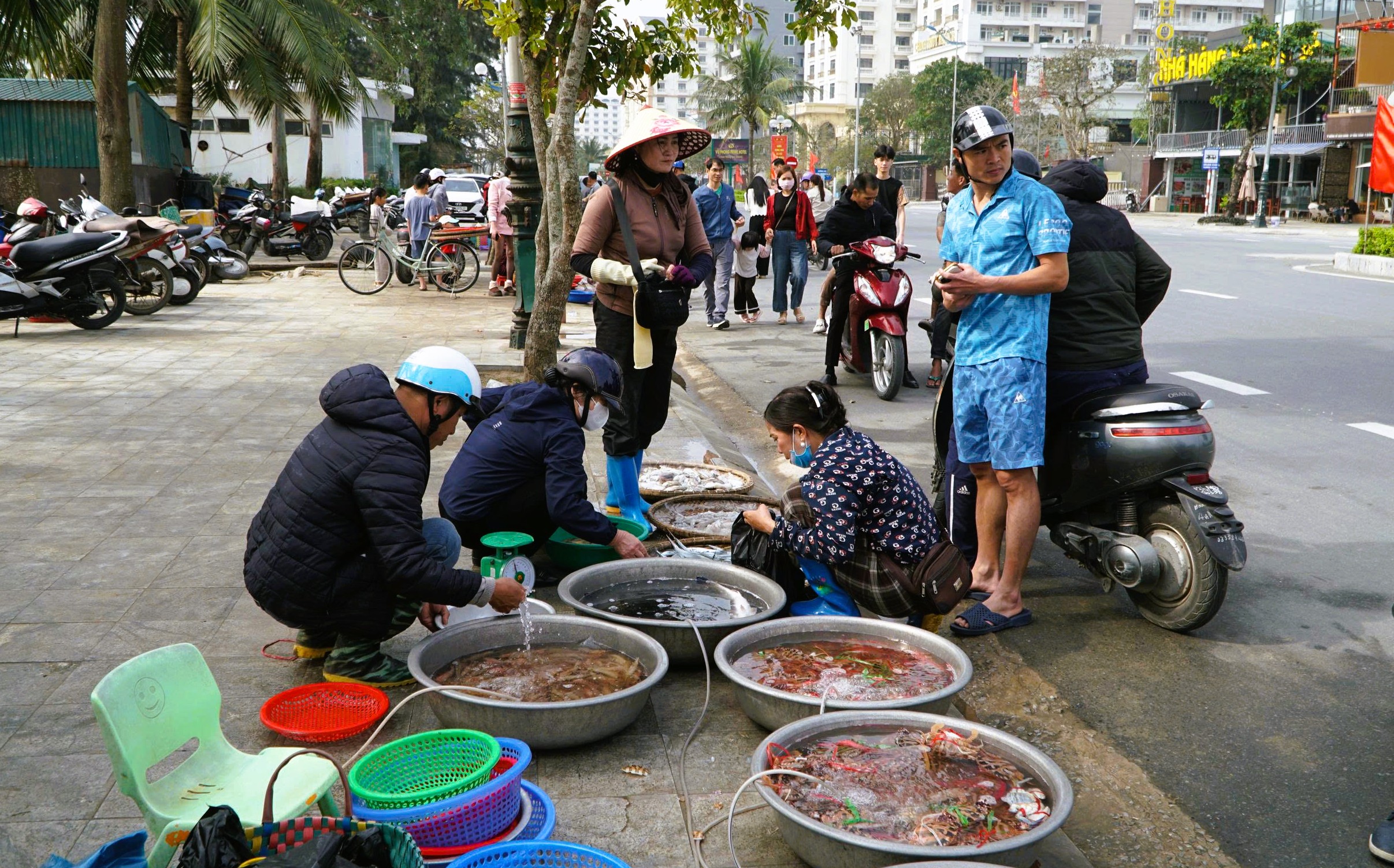 Gần 1 triệu đồng/kg cá khoai, ngư dân hồ hởi 