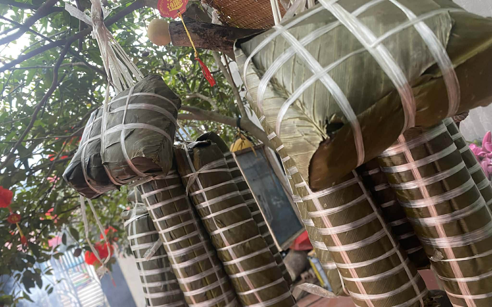 - Ảnh 1. - Ảnh 1.