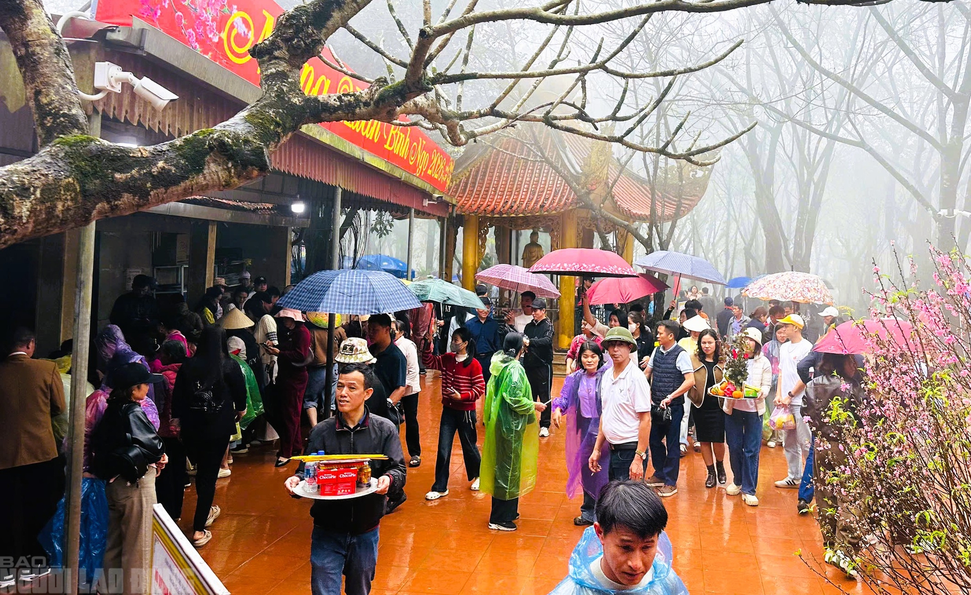 VIDEO: Người d&acirc;n "đội mưa" đi quanh huyệt đạo thi&ecirc;ng tr&ecirc;n đỉnh n&uacute;i Nưa cầu may mắn - Ảnh 5.