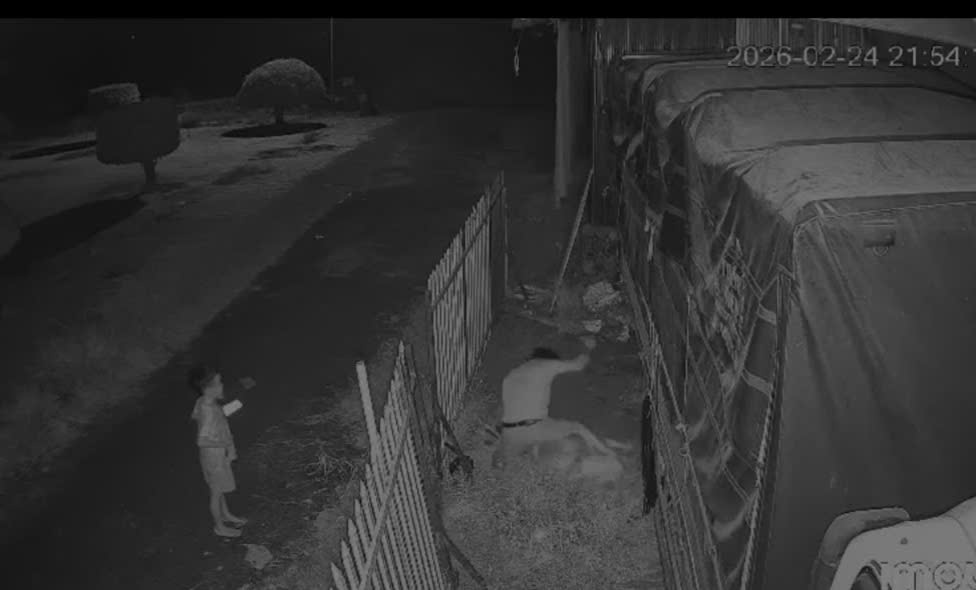 Tạm giữ Nguyễn Việt Thanh vì hành vi giết người tình ở Đồng Tháp - Ảnh 3.