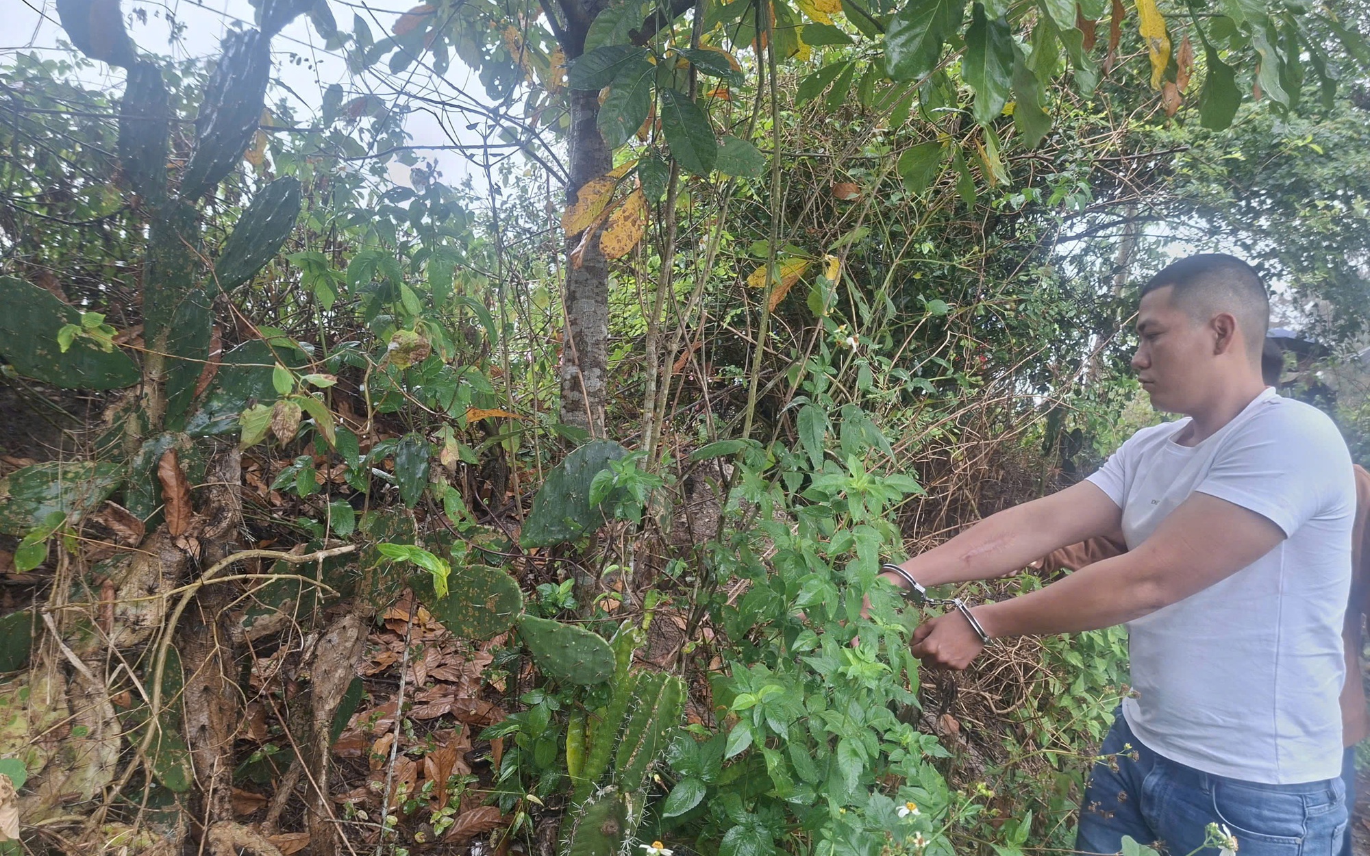 Sa lưới sau hành trình hơn 1.000 km với chiếc xe Exciter cướp được - Ảnh 2. Sa lưới sau hành trình hơn 1.000 km với chiếc xe Exciter cướp được - Ảnh 2.