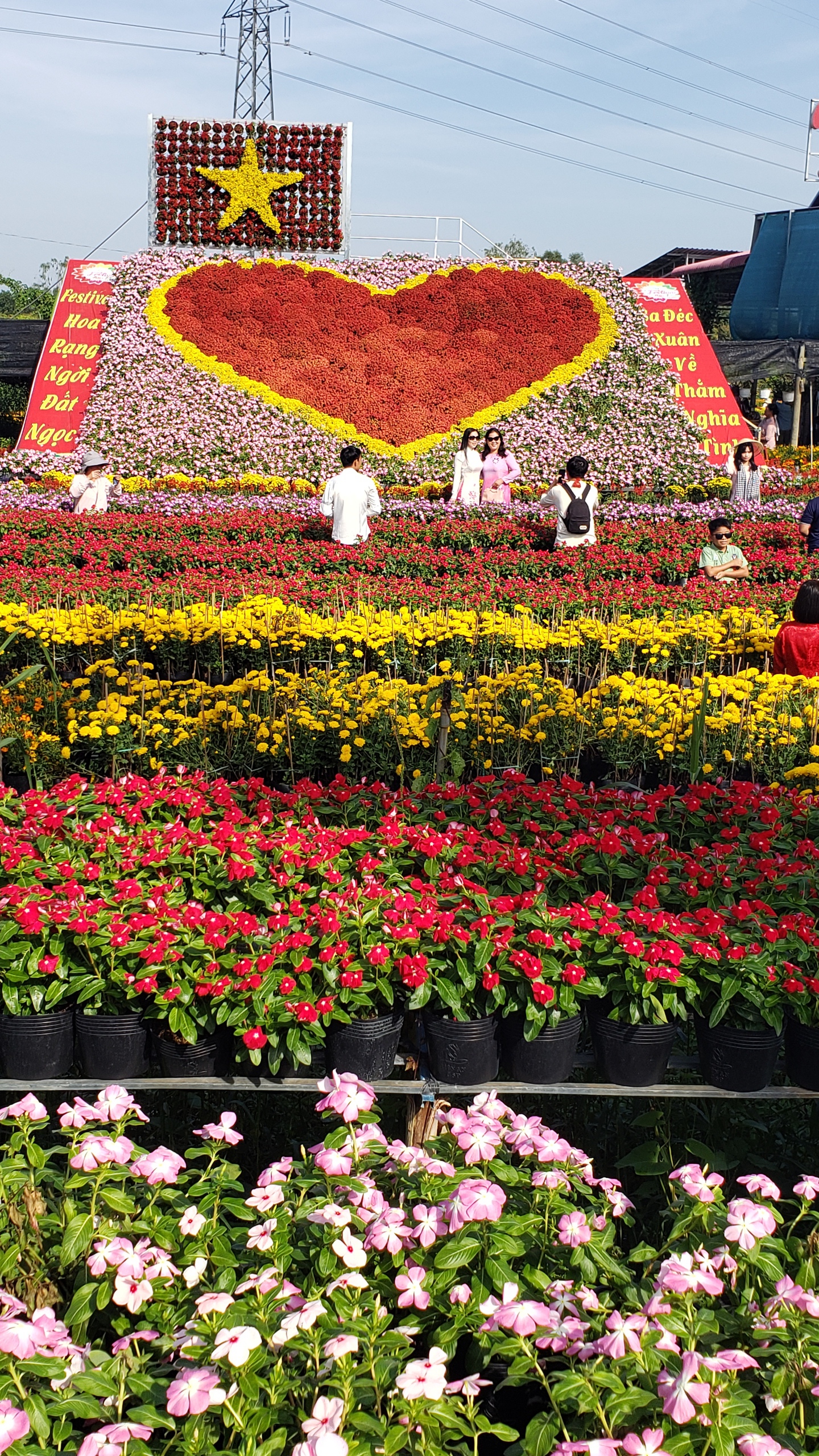 Cuộc thi ảnh Thi&ecirc;ng li&ecirc;ng cờ Tổ quốc v&agrave; vẻ đẹp Ng&agrave;y hội m&ugrave;a xu&acirc;n 2026 - Ảnh 5.