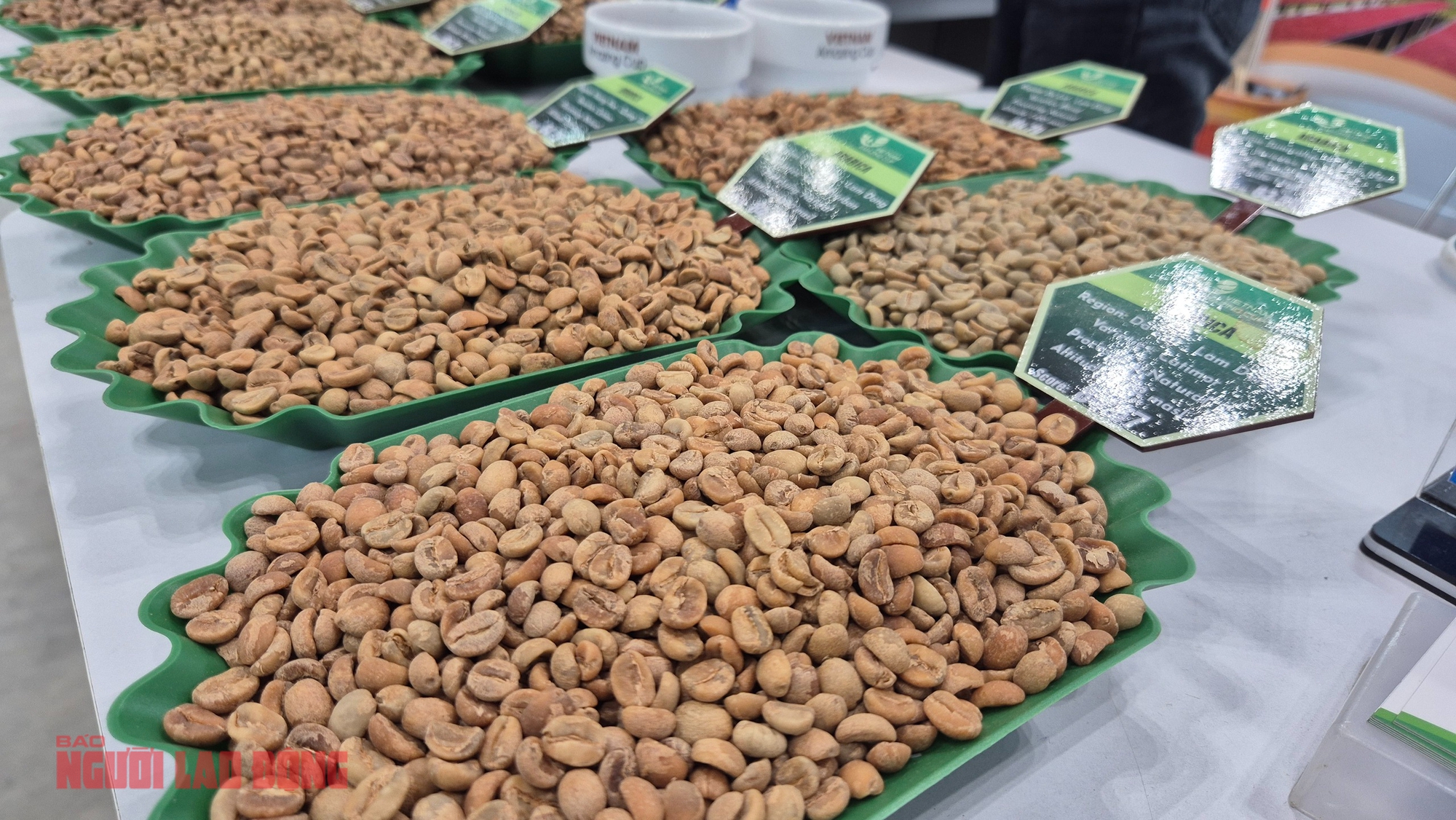 Gi&aacute; c&agrave; ph&ecirc; h&ocirc;m nay 3 - 2: Robusta giảm , Việt Nam đứng thứ 3 cung cấp c&agrave; ph&ecirc; cho &Uacute;c - Ảnh 2.