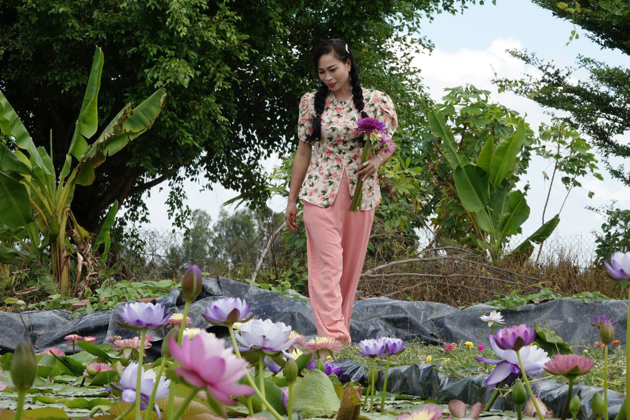 Kinh doanh hoa s&uacute;ng kiểng: C&aacute;ch phụ nữ Cần Thơ thu lợi triệu đồng mỗi ng&agrave;y - Ảnh 1.