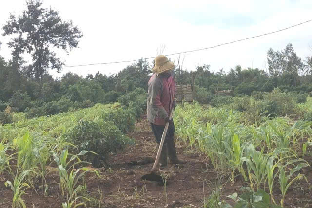 Bồi thường gi&aacute;o vi&ecirc;n: Hơn 4 năm chờ đợi chưa thấy kinh ph&iacute; từ UBND tỉnh Đắk Lắk - Ảnh 1.