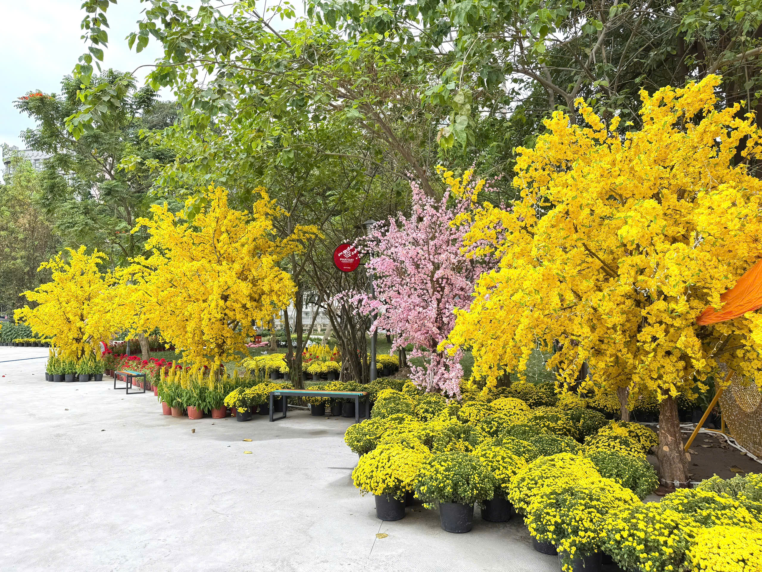 Nhiều c&ocirc;ng tr&igrave;nh chỉnh trang đ&ocirc; thị bắt đầu mở cửa, TPHCM tr&agrave;n ngập sắc xu&acirc;n - Ảnh 1.