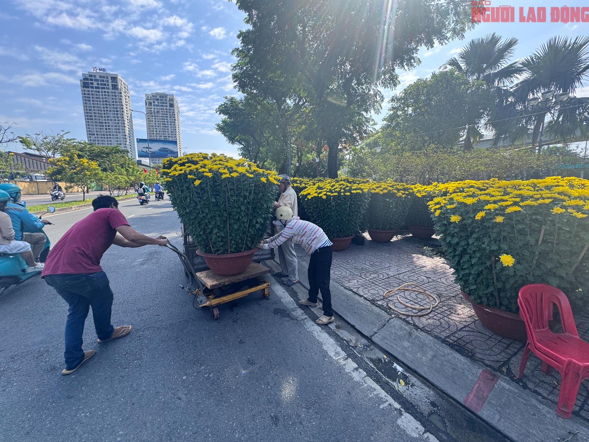 Gi&aacute; hoa đ&agrave;o Tết 2026 tại TPHCM: Sự b&ugrave;ng nổ về chất lượng v&agrave; gi&aacute; cả - Ảnh 8.