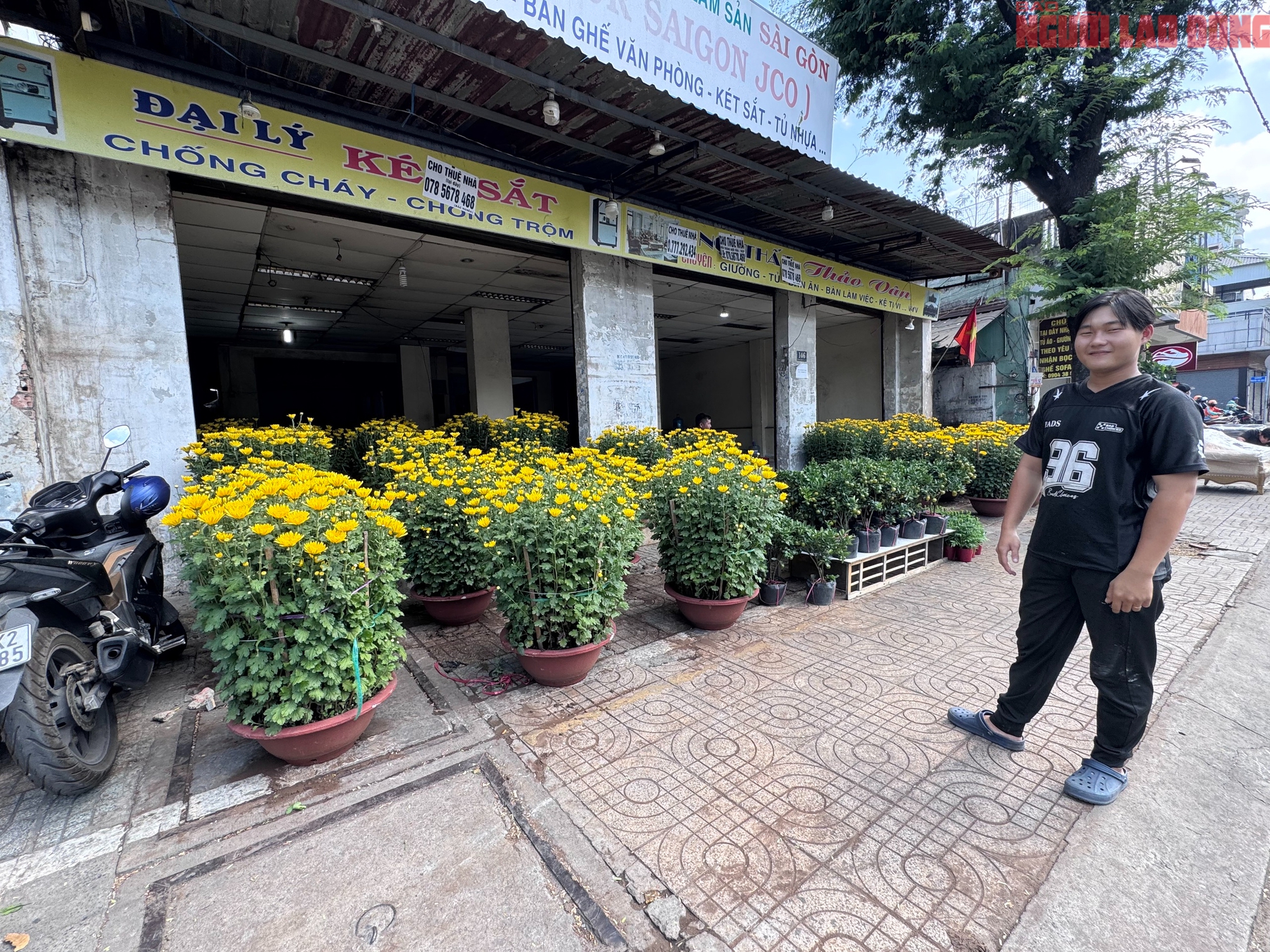 Gi&aacute; hoa đ&agrave;o Tết 2026 tại TPHCM: Sự b&ugrave;ng nổ về chất lượng v&agrave; gi&aacute; cả - Ảnh 9.