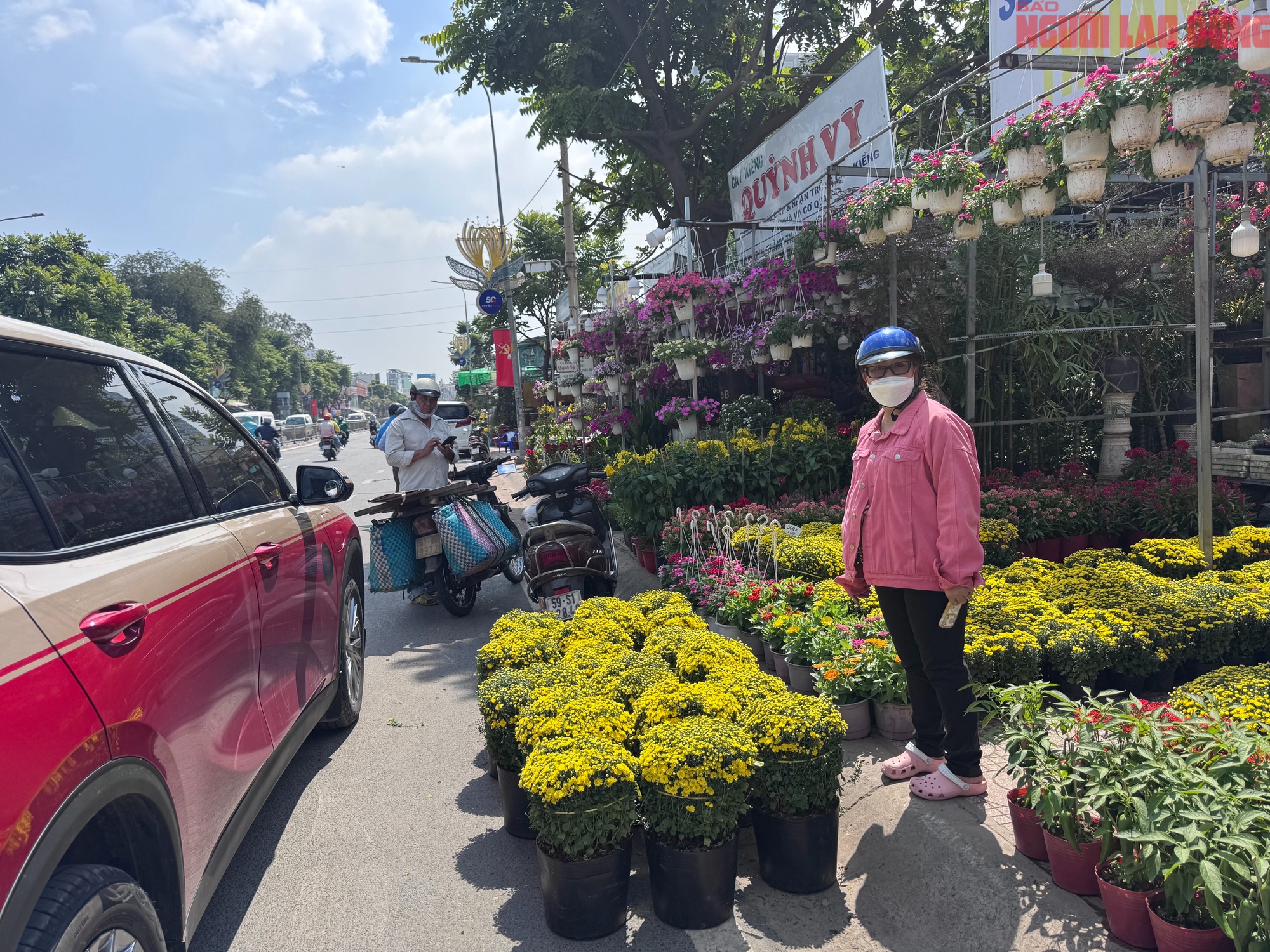 Gi&aacute; hoa đ&agrave;o Tết 2026 tại TPHCM: Sự b&ugrave;ng nổ về chất lượng v&agrave; gi&aacute; cả - Ảnh 14.