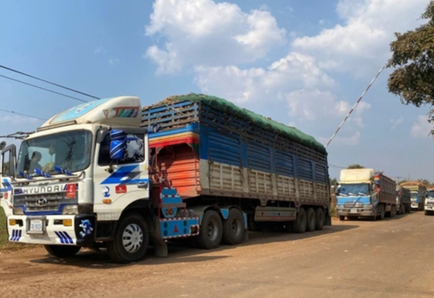 Bộ Y tế đề xuất tạm dừng Nghị định 46 v&agrave; Nghị quyết 66.13 - Ảnh 1.