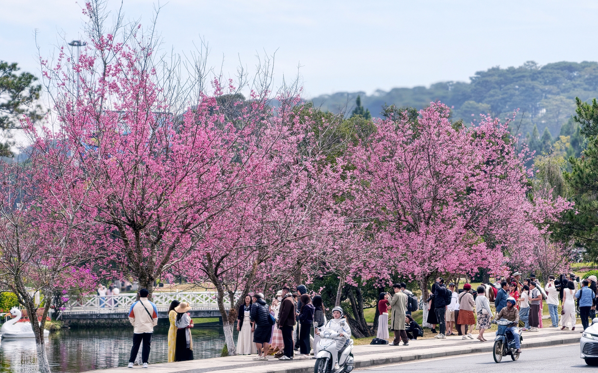 Chi tiết 19 địa điểm bắn ph&aacute;o hoa đ&ecirc;m Giao thừa Tết Nguy&ecirc;n đ&aacute;n ở L&acirc;m Đồng - Ảnh 2.