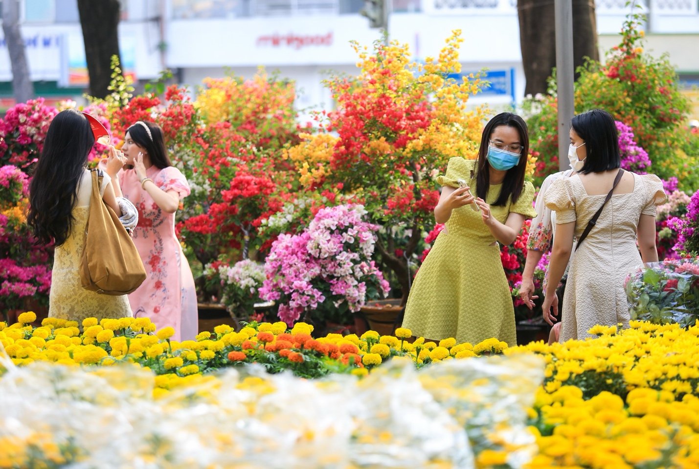 ROX Living Diễn Châu: Điểm hẹn lễ hội và không gian sống - kinh doanh mới của Bắc Nghệ An - Ảnh 2.