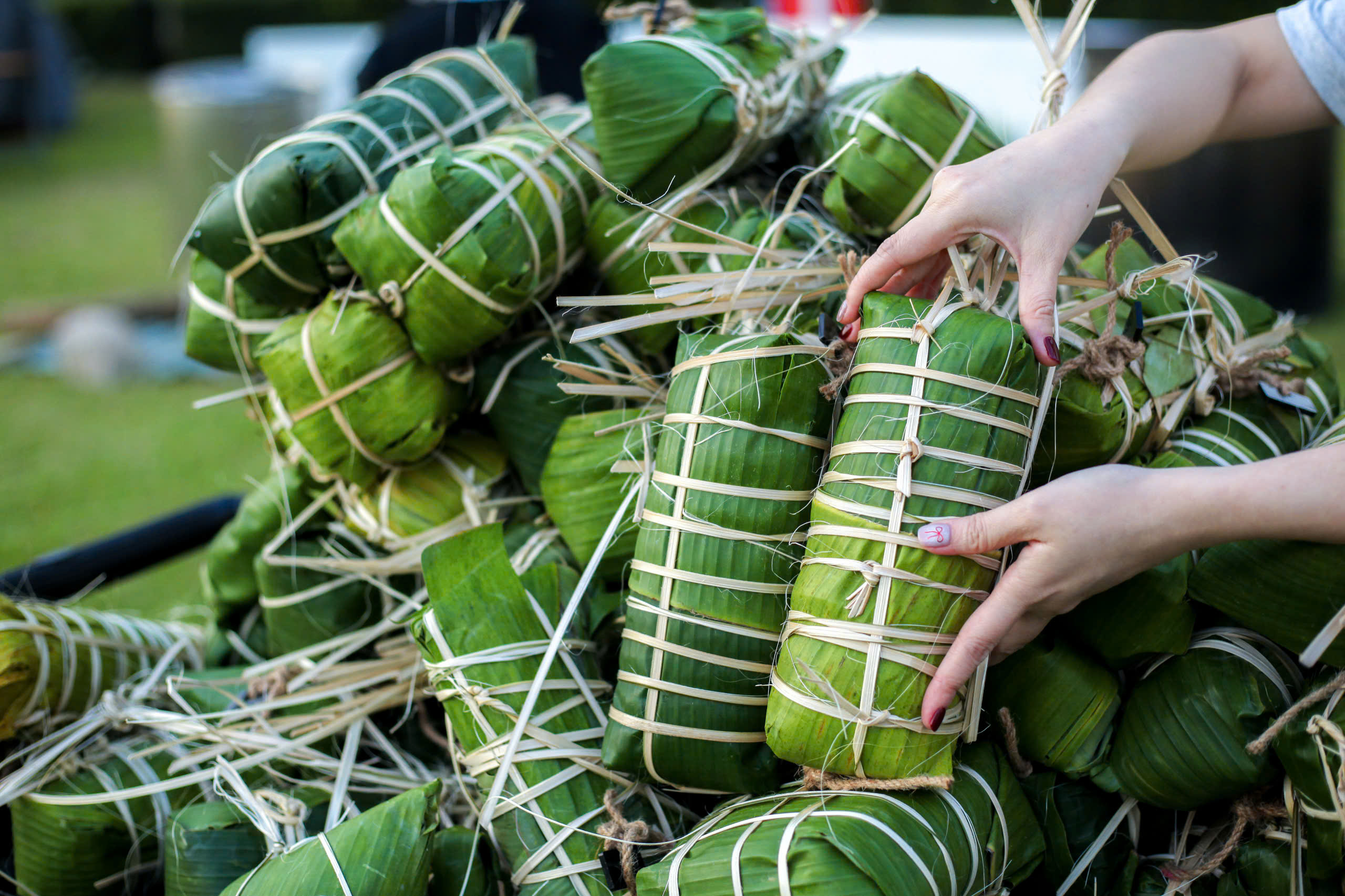 Nha Trang: "Gói bánh Tét - Trở về Tết xưa" mừng xuân Bính Ngọ 2026 - Ảnh 3.