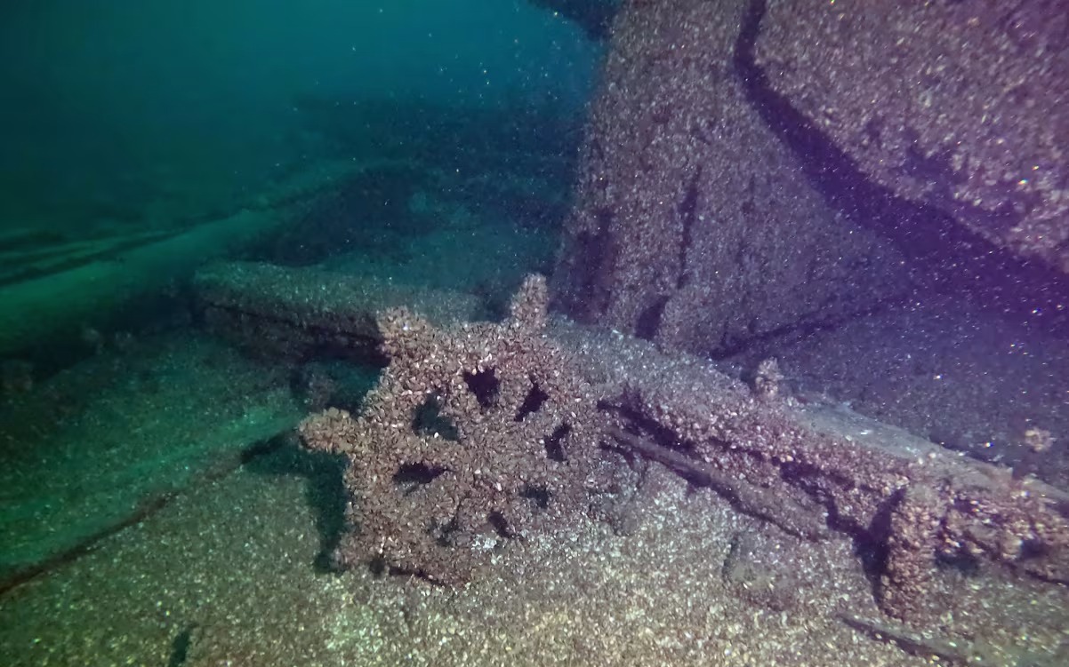 Giải m&atilde; từ "gi&aacute;o sĩ phơi kh&ocirc;" đến đạo qu&acirc;n yểu mệnh của Napoleon - Ảnh 3.