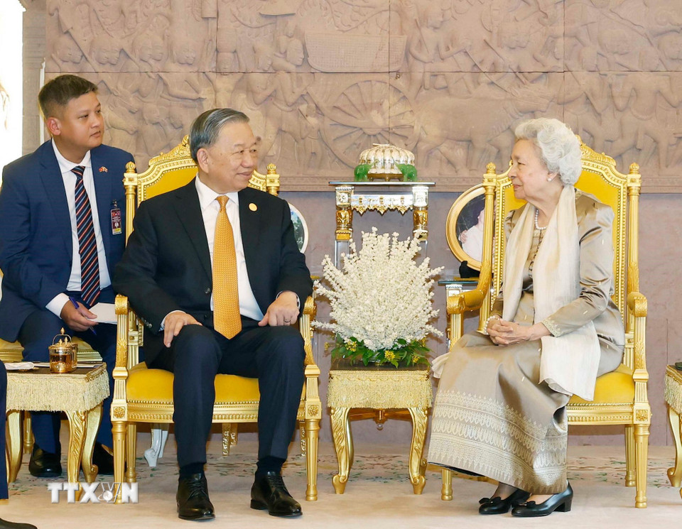 Tổng B&iacute; thư T&ocirc; L&acirc;m hội kiến Samdech Techo Hun Sen. - Ảnh 3.