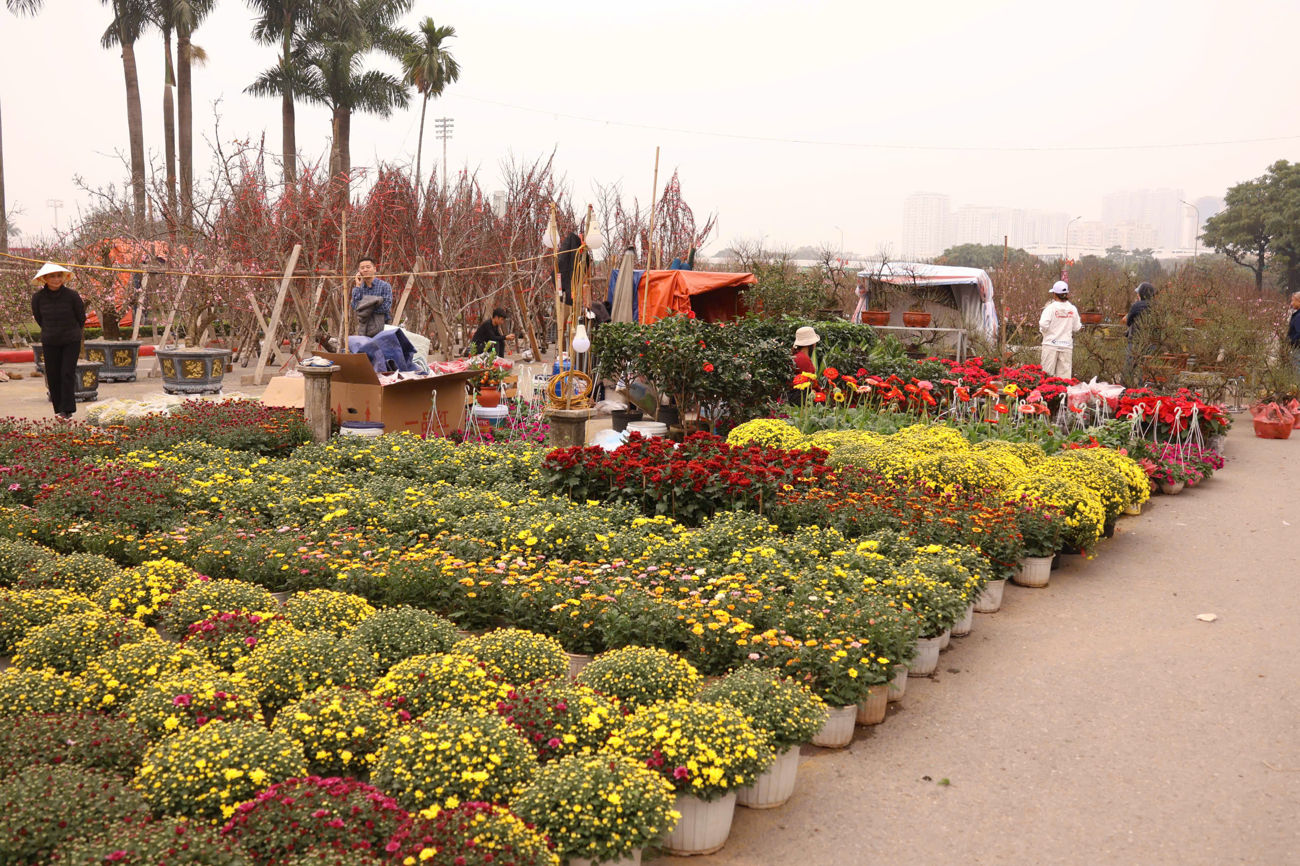 Phố, phường Thủ đ&ocirc; H&agrave; Nội rực rỡ sắc Xu&acirc;n  - Ảnh 16.