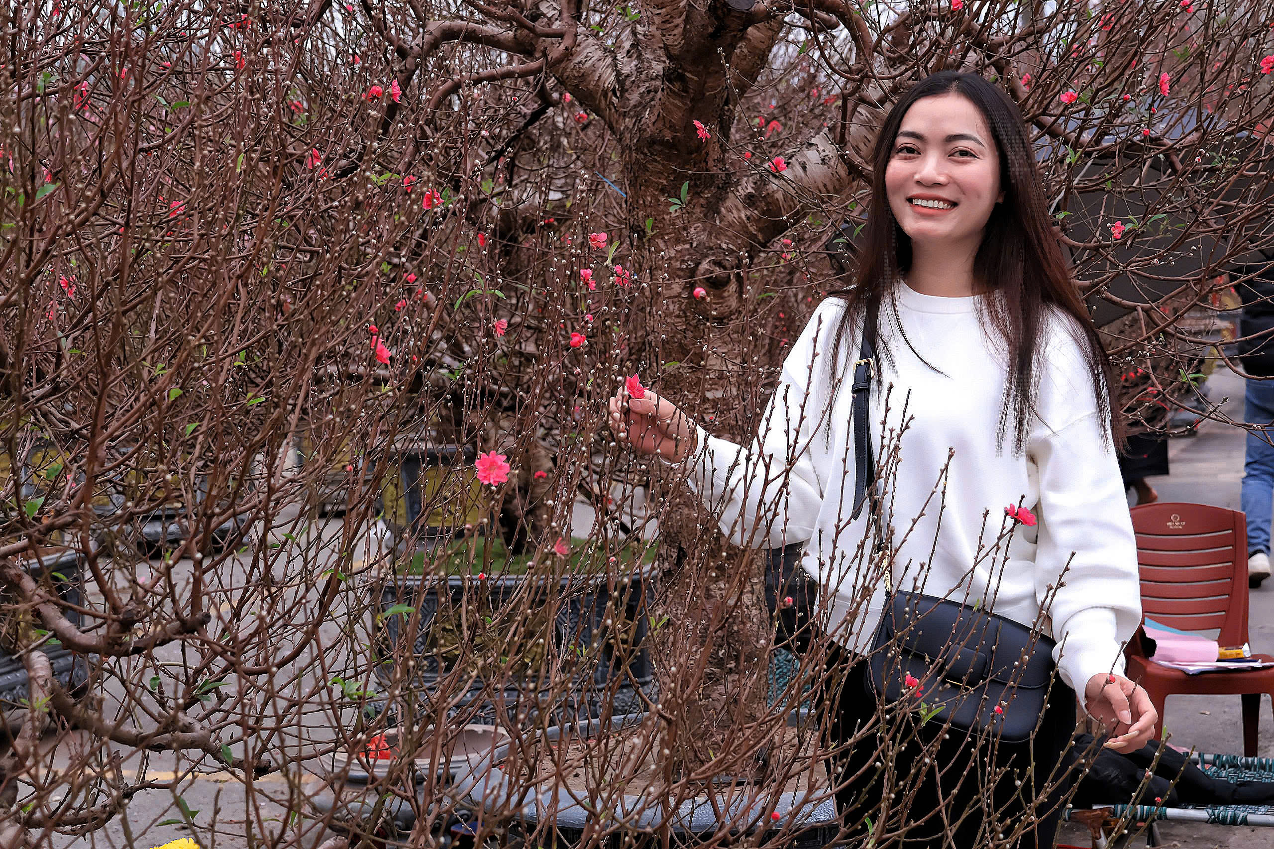 Phố, phường Thủ đ&ocirc; H&agrave; Nội rực rỡ sắc Xu&acirc;n  - Ảnh 20.