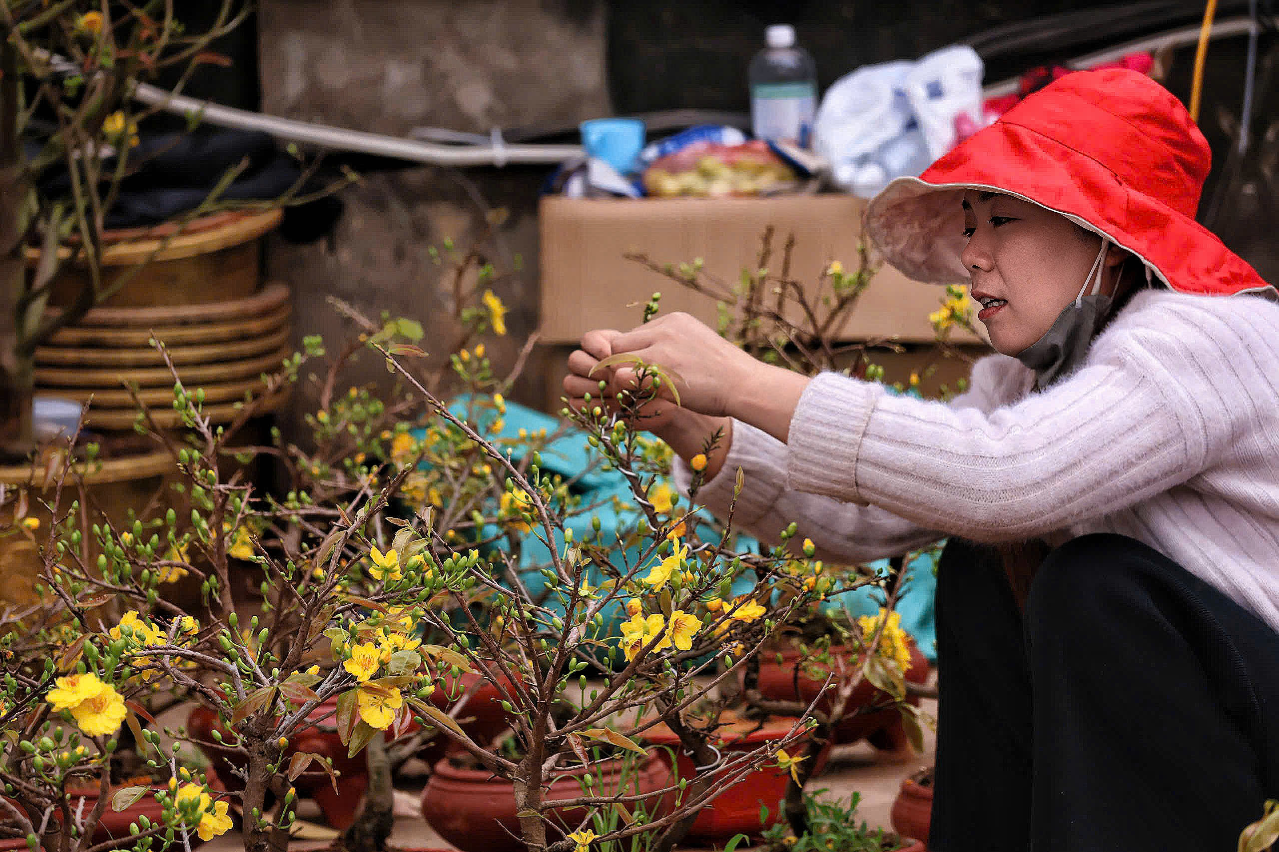 Phố, phường Thủ đ&ocirc; H&agrave; Nội rực rỡ sắc Xu&acirc;n  - Ảnh 19.