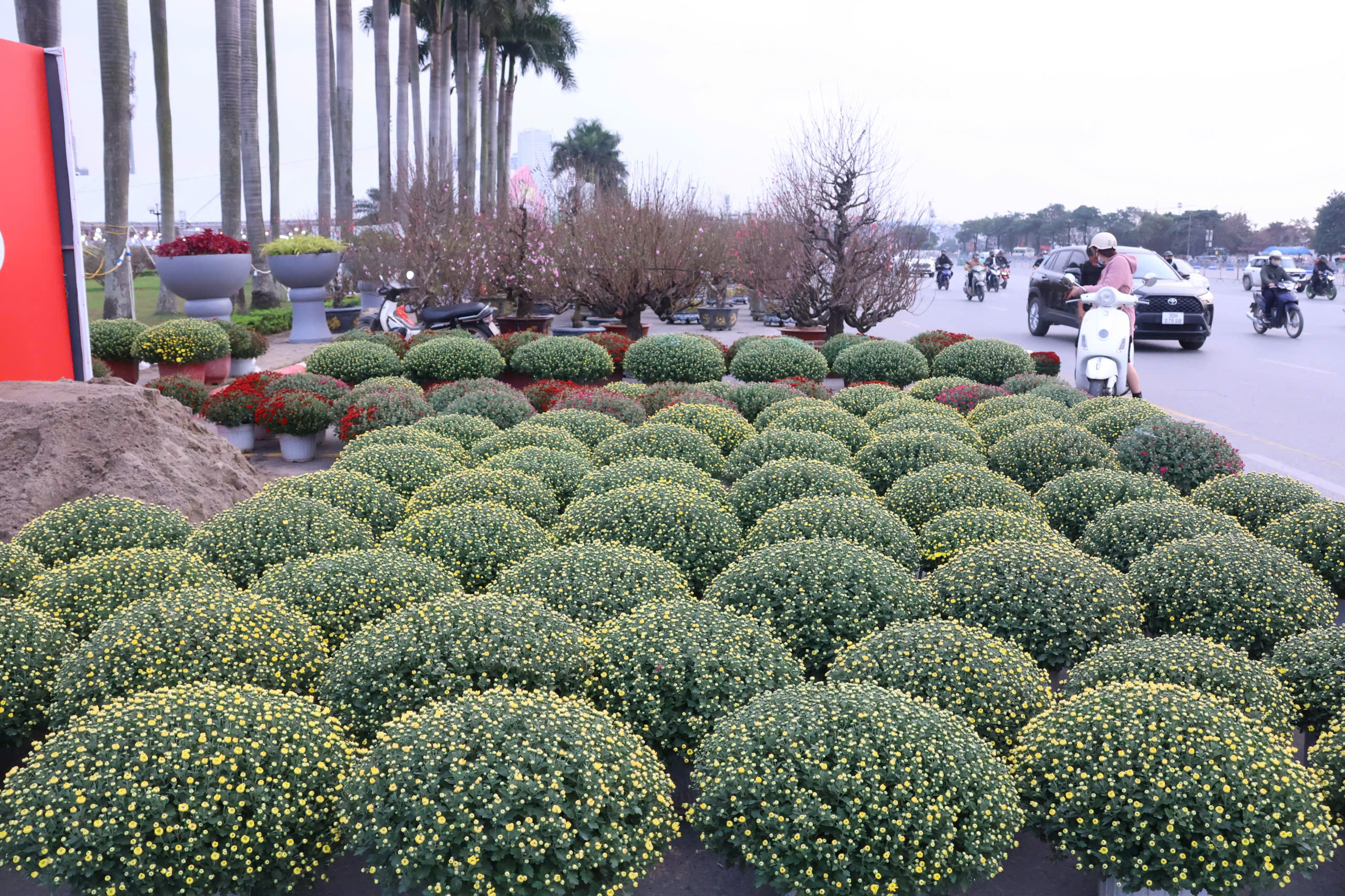 Phố, phường Thủ đ&ocirc; H&agrave; Nội rực rỡ sắc Xu&acirc;n  - Ảnh 17.