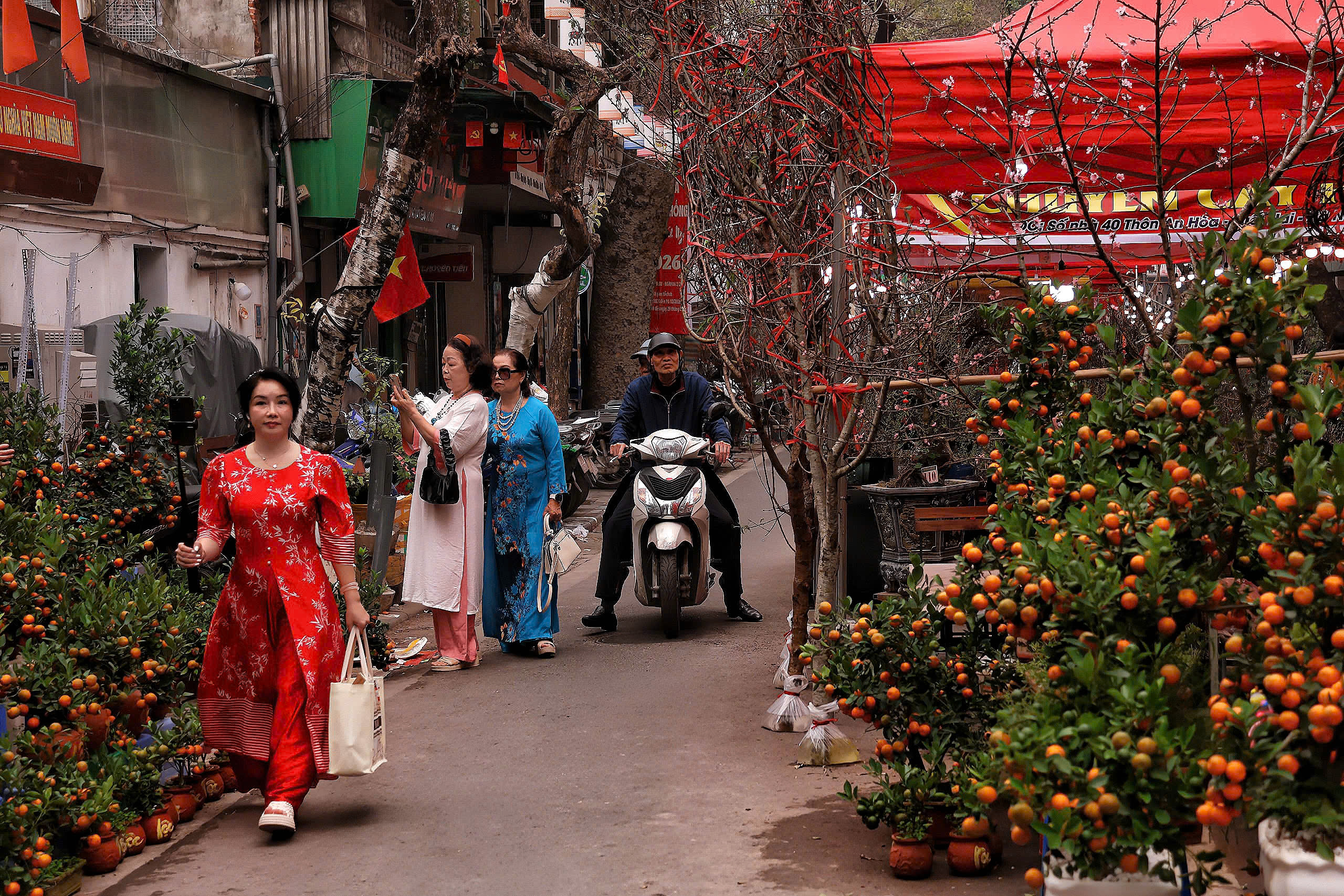 Phố, phường Thủ đ&ocirc; H&agrave; Nội rực rỡ sắc Xu&acirc;n  - Ảnh 9.