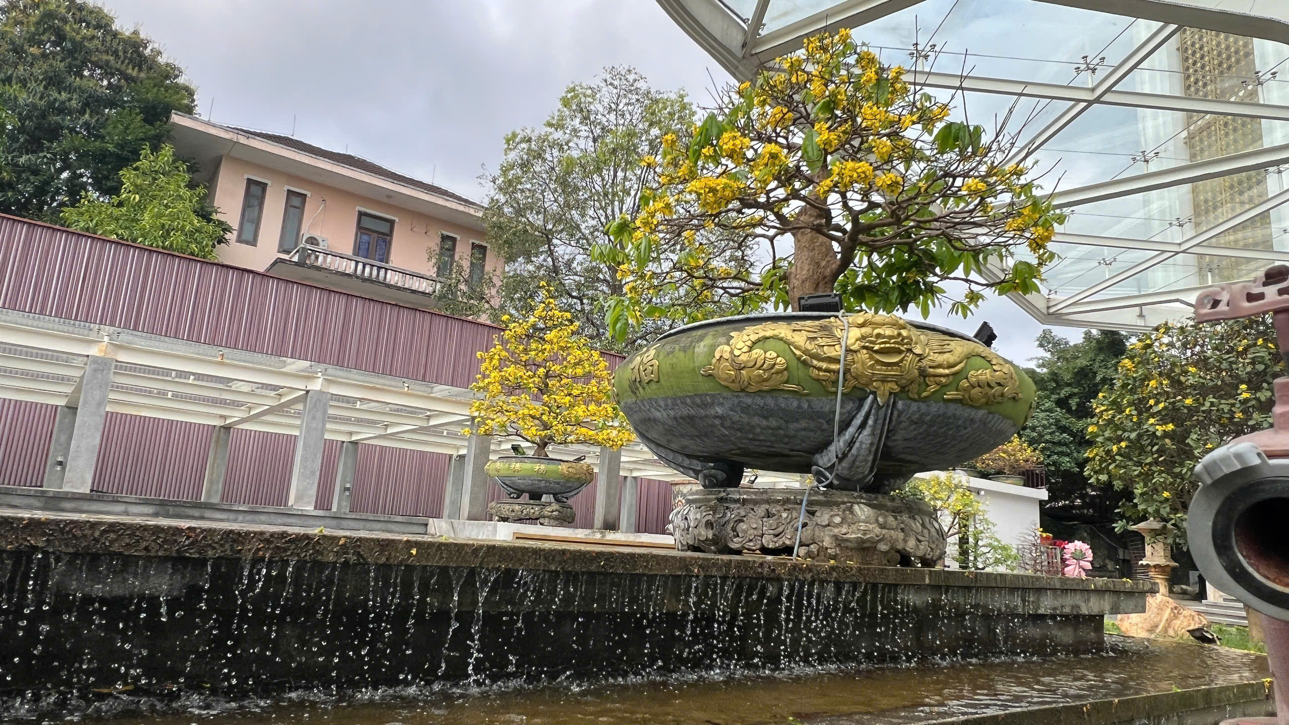 Ngỡ ng&agrave;ng phố mai v&agrave;ng ở giao lộ sầm uất bậc nhất xứ Huế - Ảnh 17.